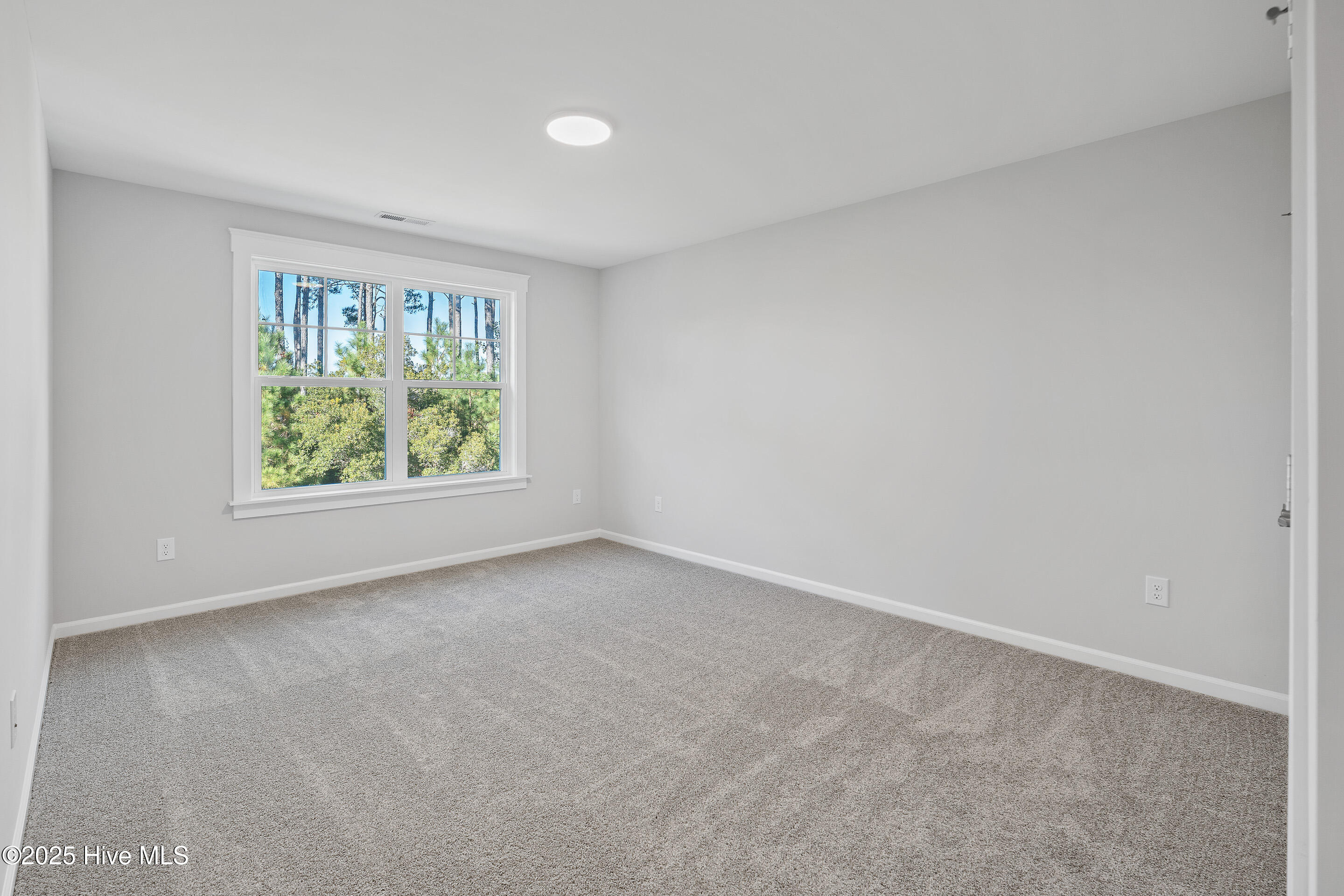 100501651 | Photo 22