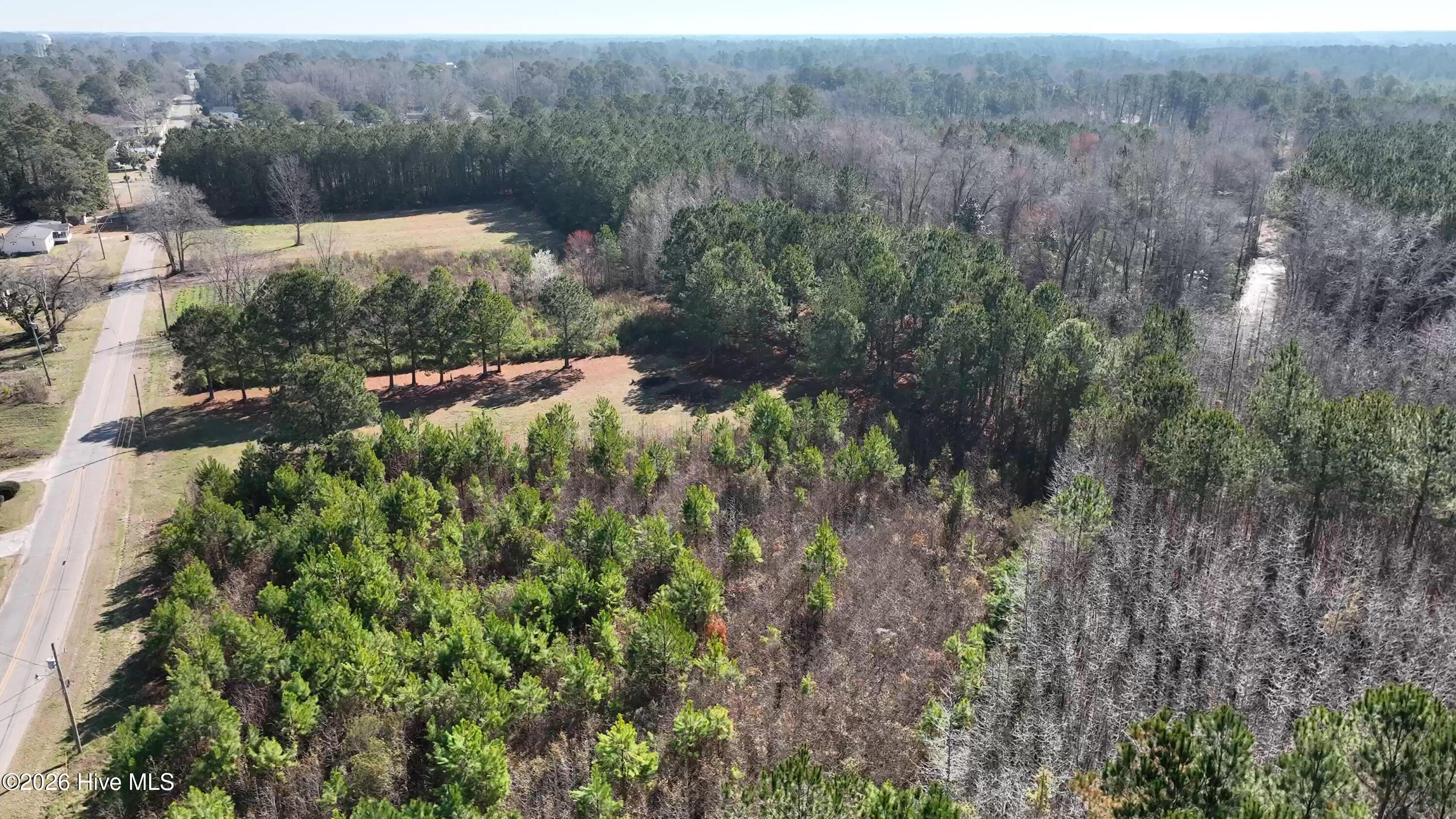 100560038 | Photo 11