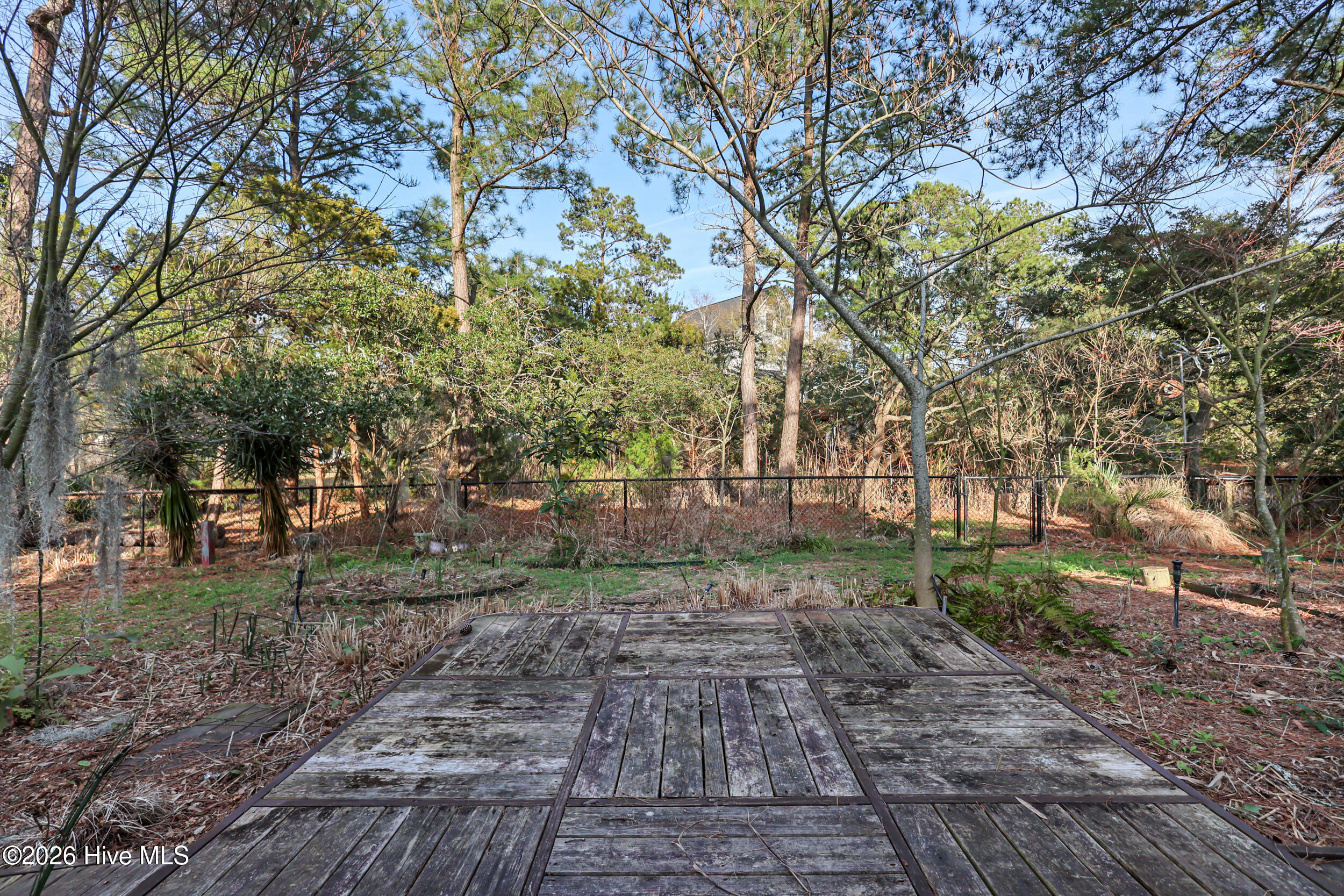 100521049 | Photo 51