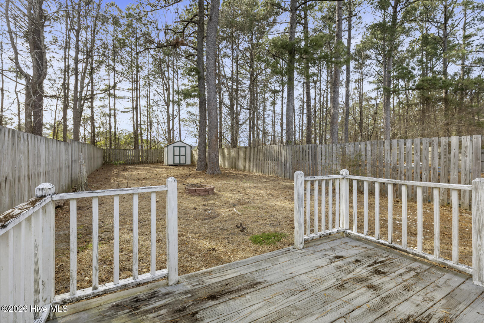 100556927 | Photo 18