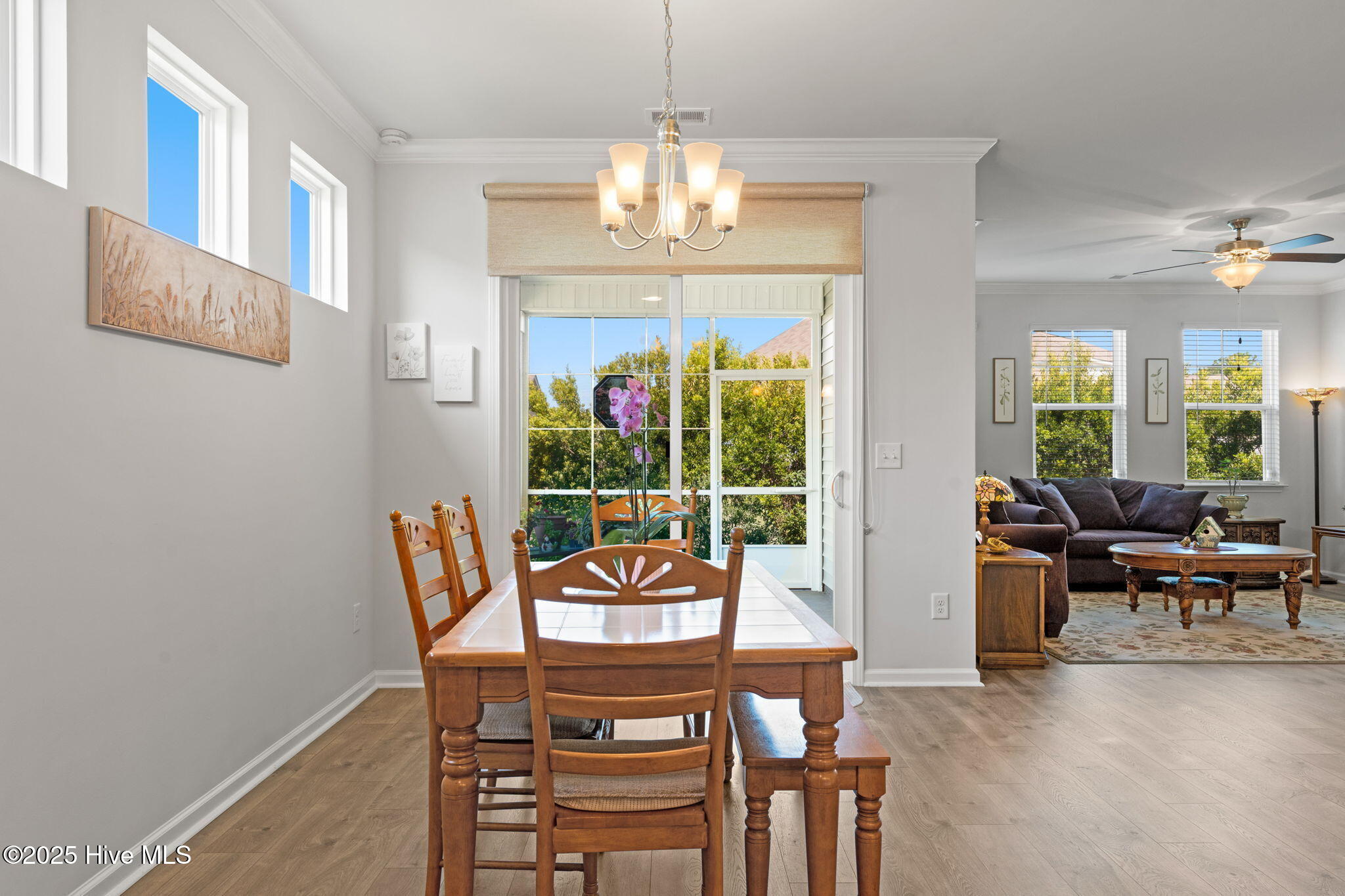 100516285 | Photo 12