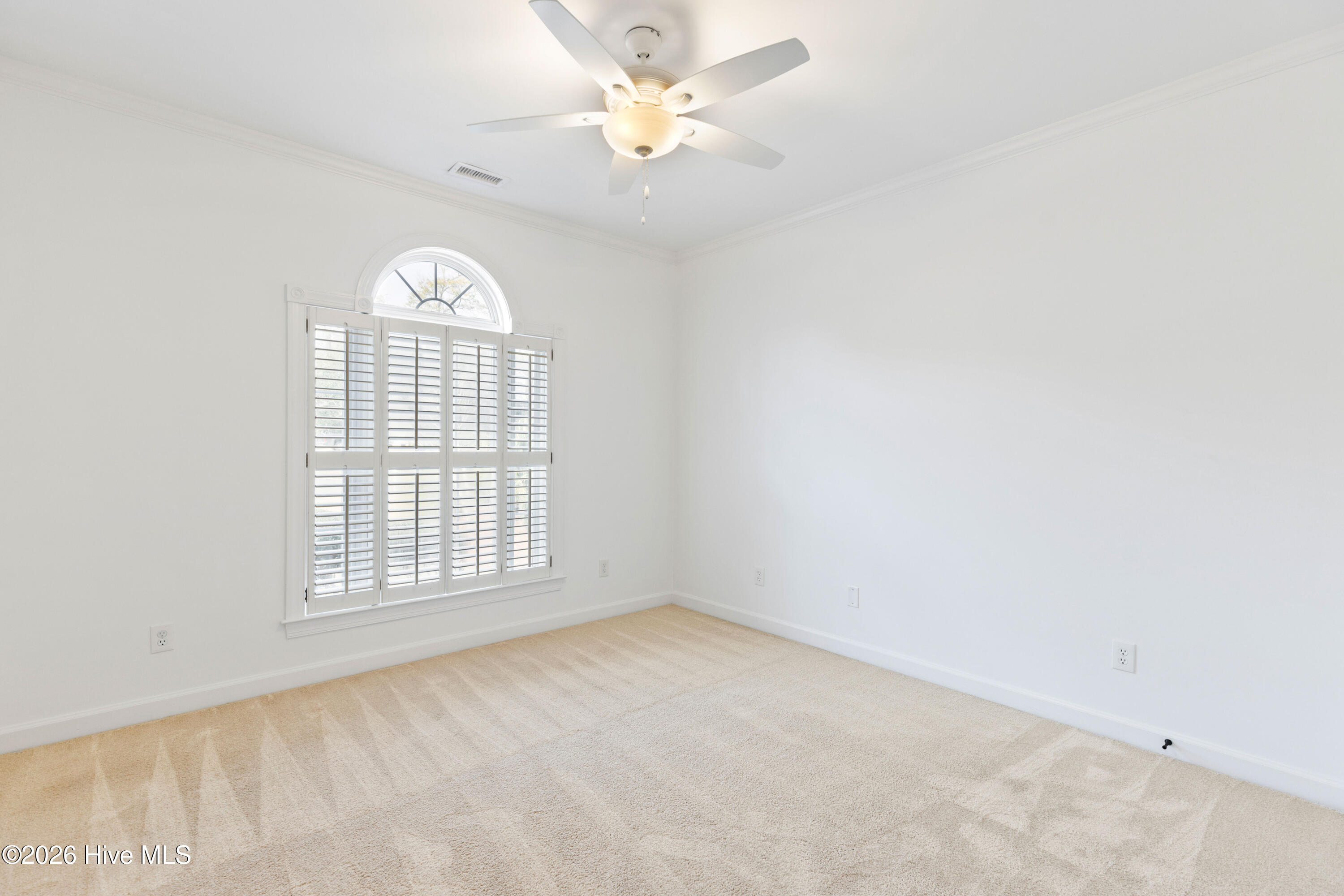 100560916 | Photo 50