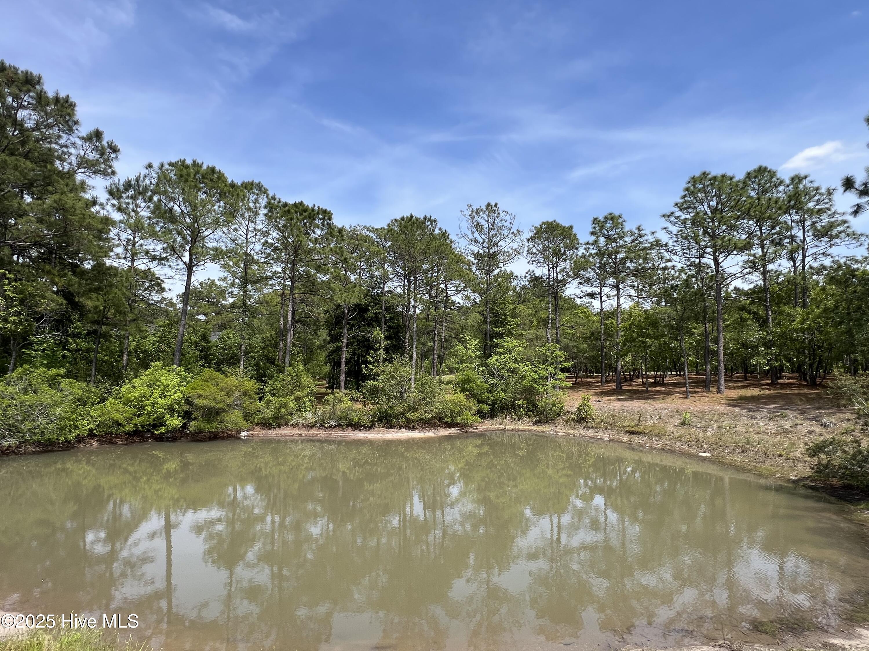 100506027 | Photo 19