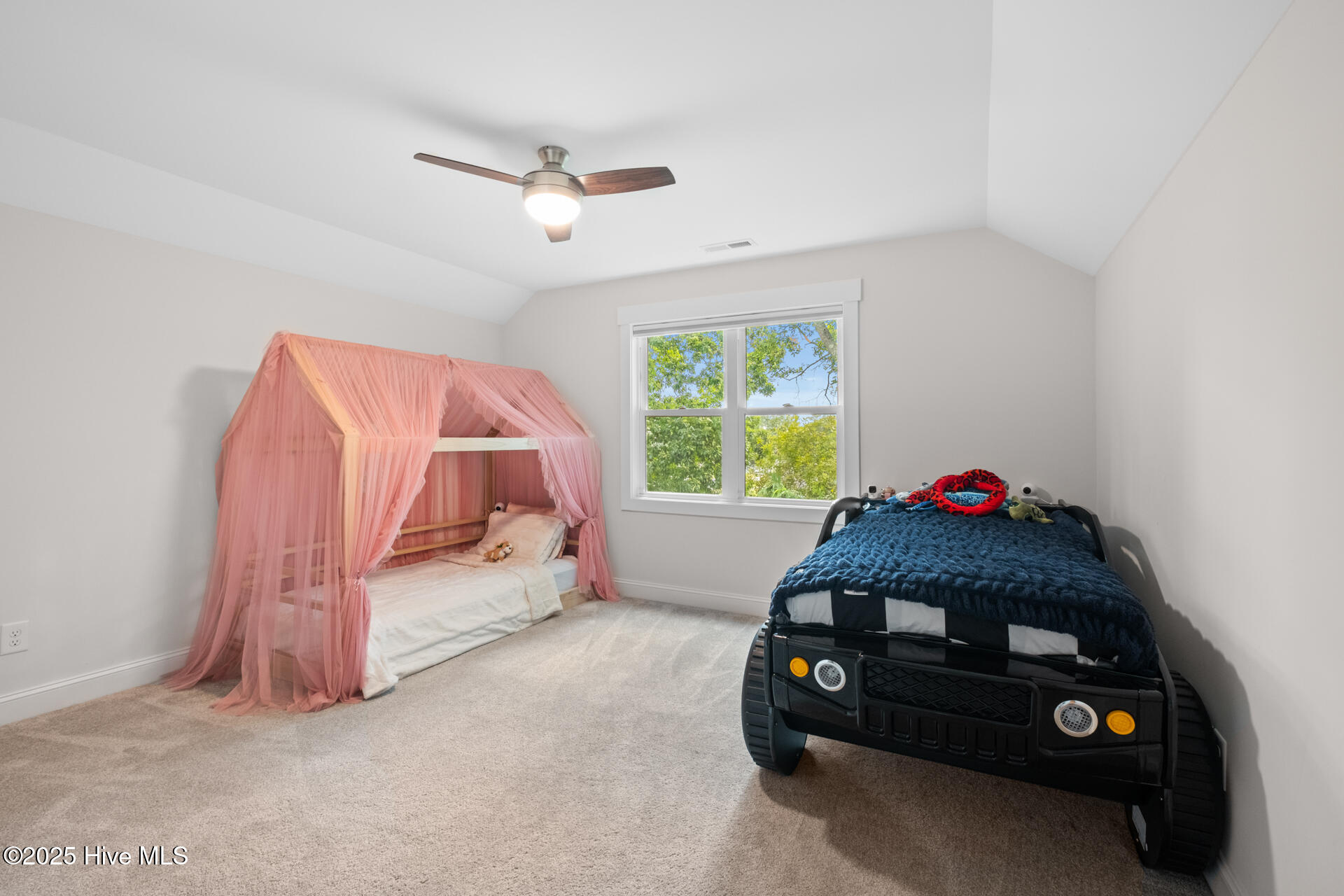 100554078 | Photo 41