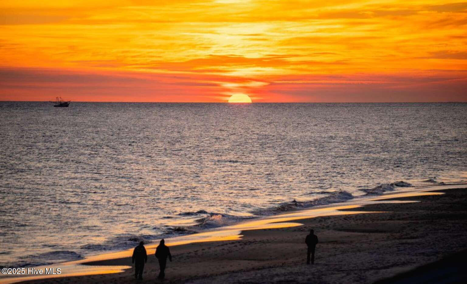 100539147 | Photo 39