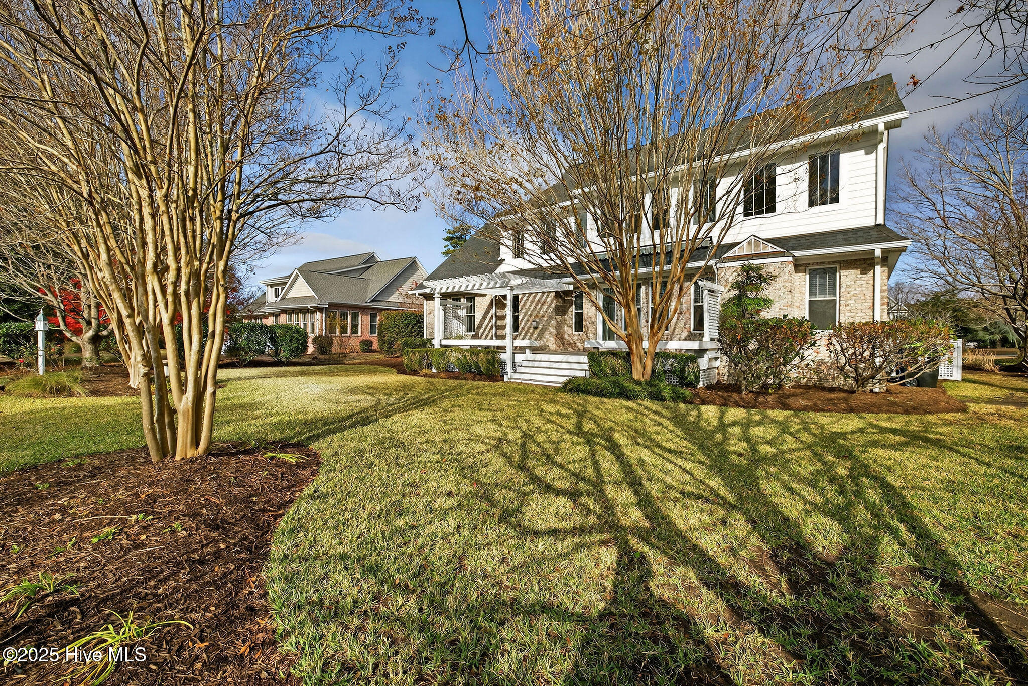 100545451 | Photo 50