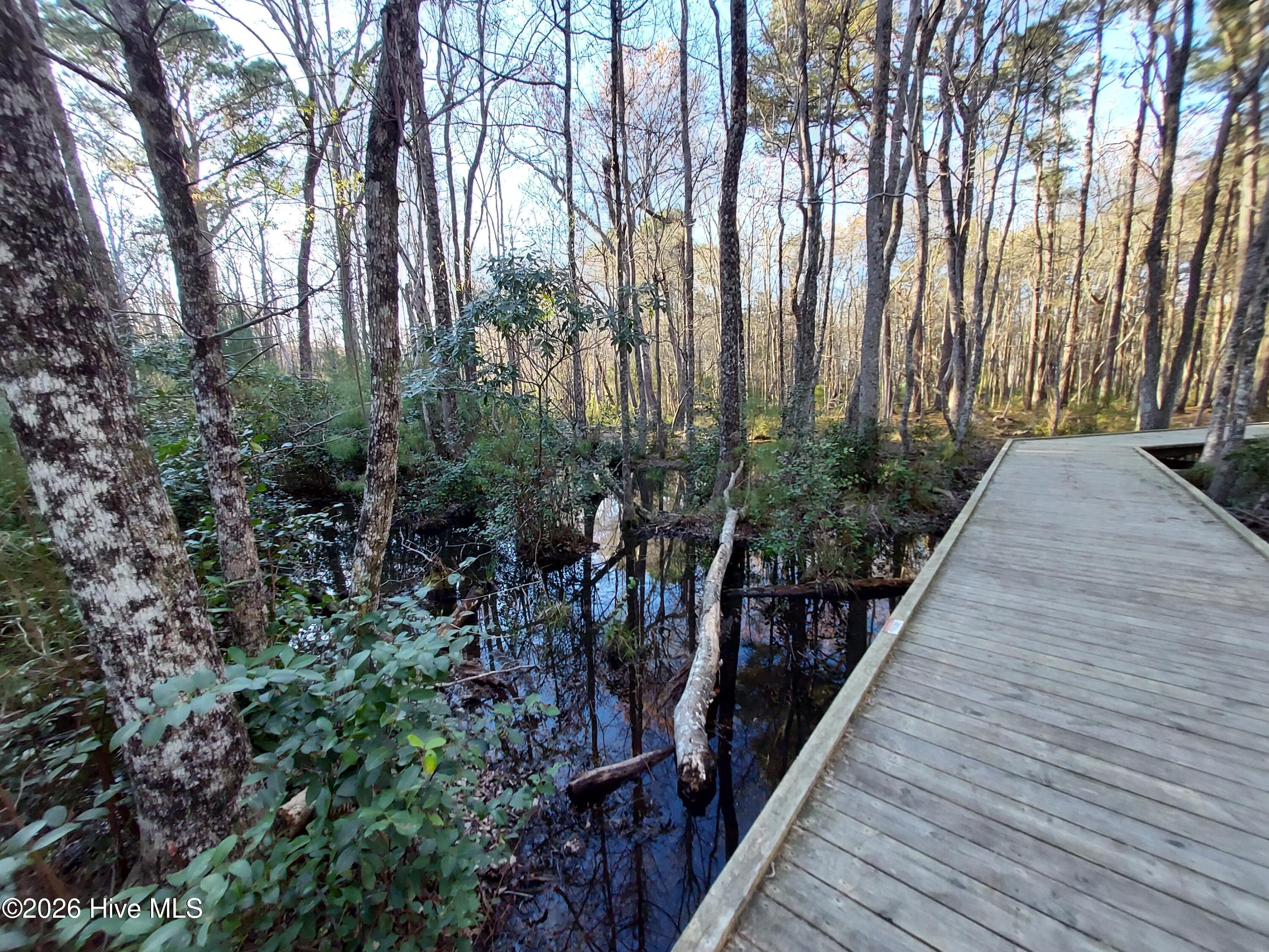 100561517 | Photo 20