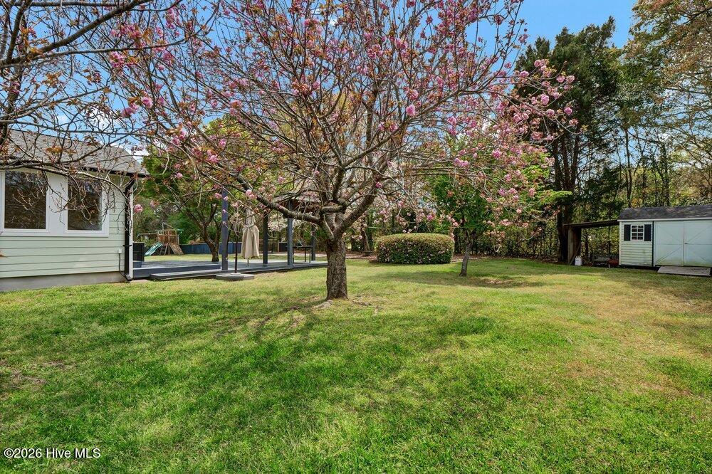 100562479 | Photo 43