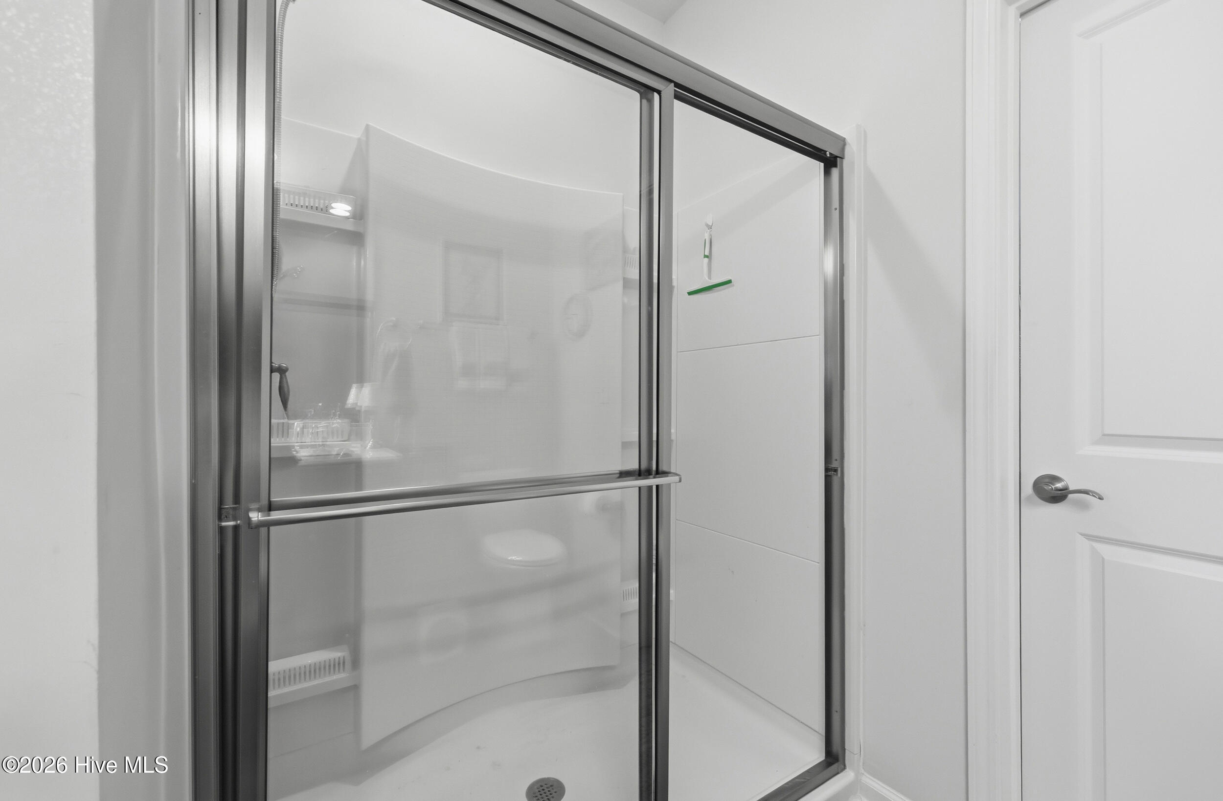 100564272 | Photo 24