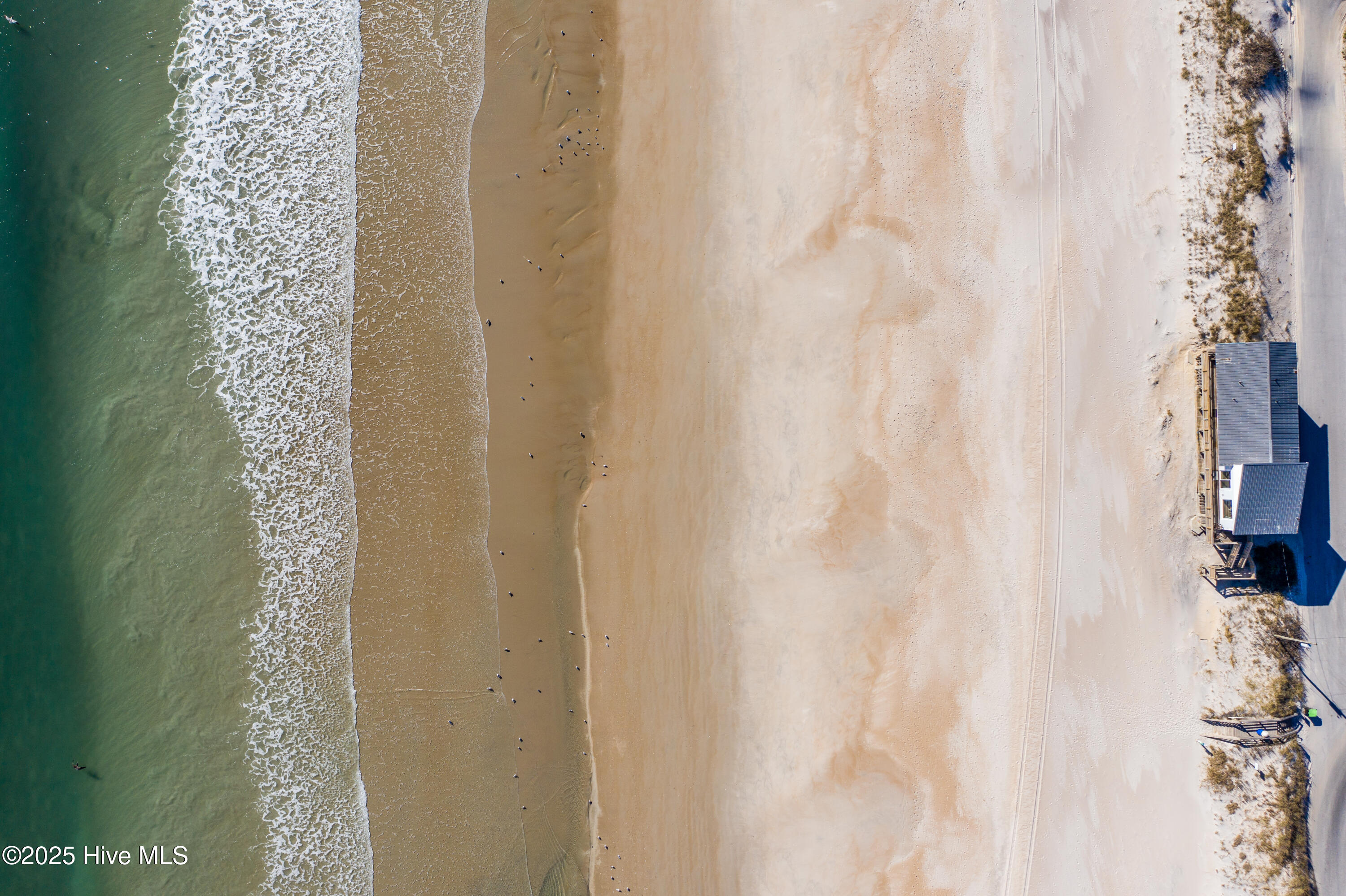 100518546 | Photo 34