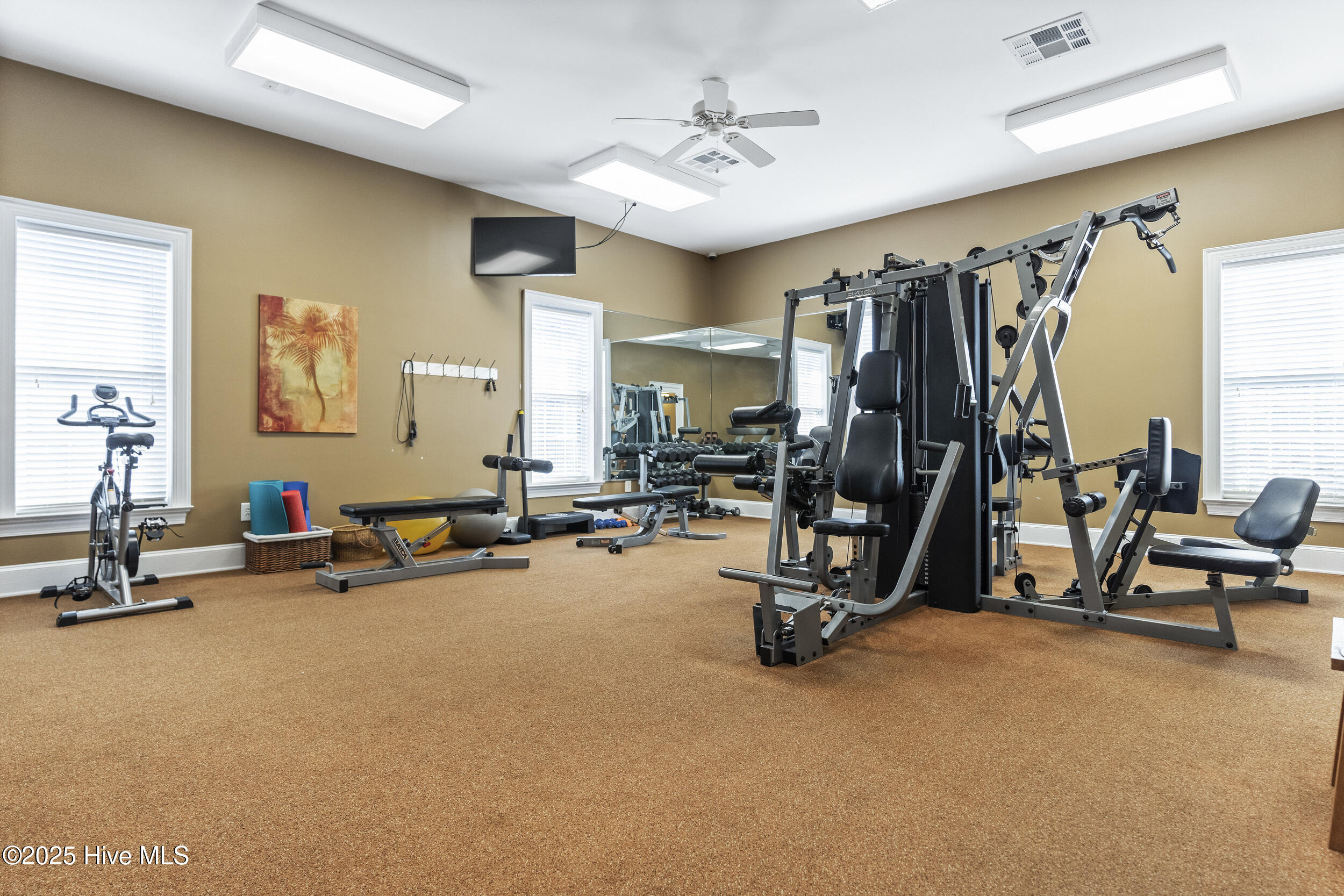 100519545 | Photo 41