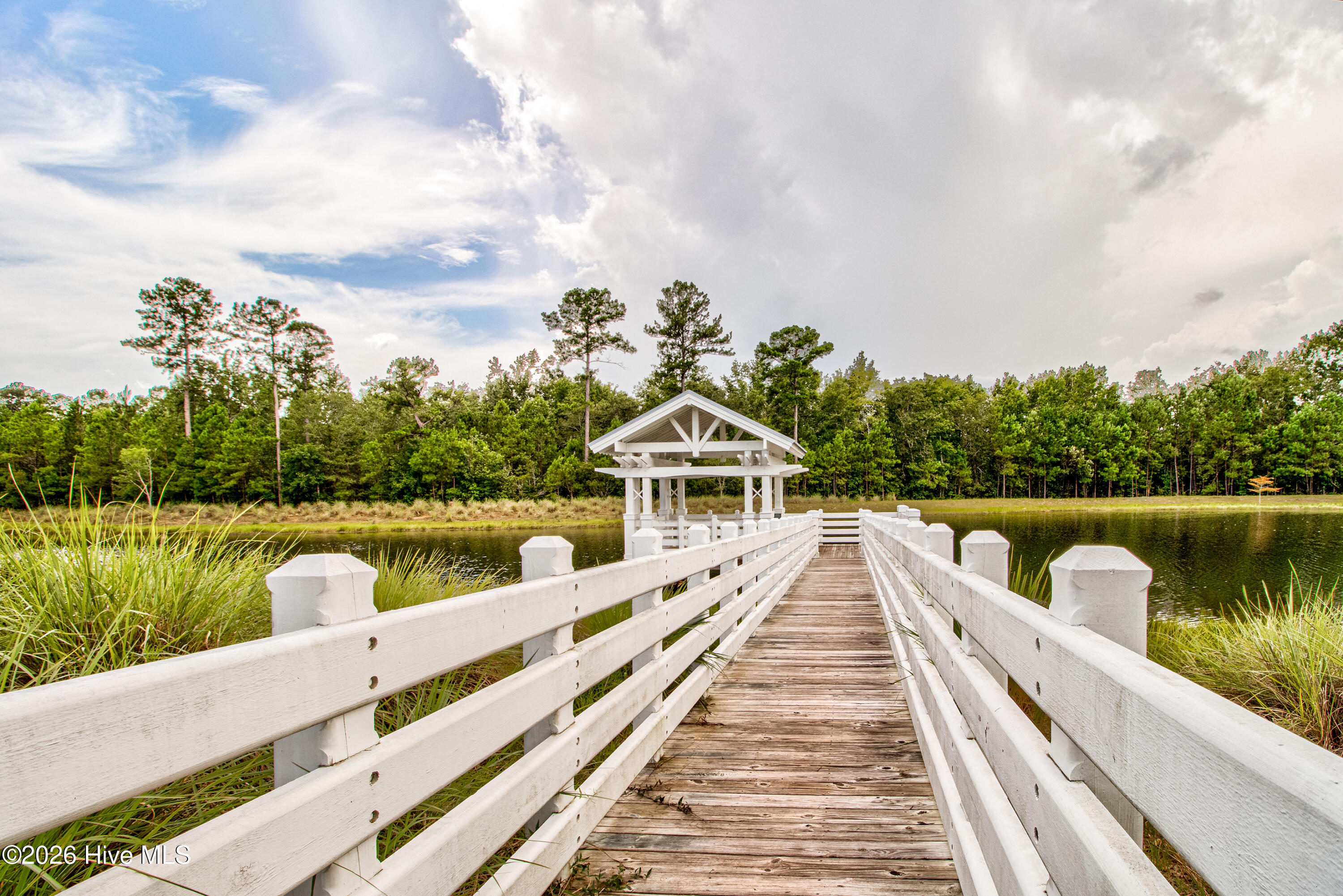 100569553 | Photo 52