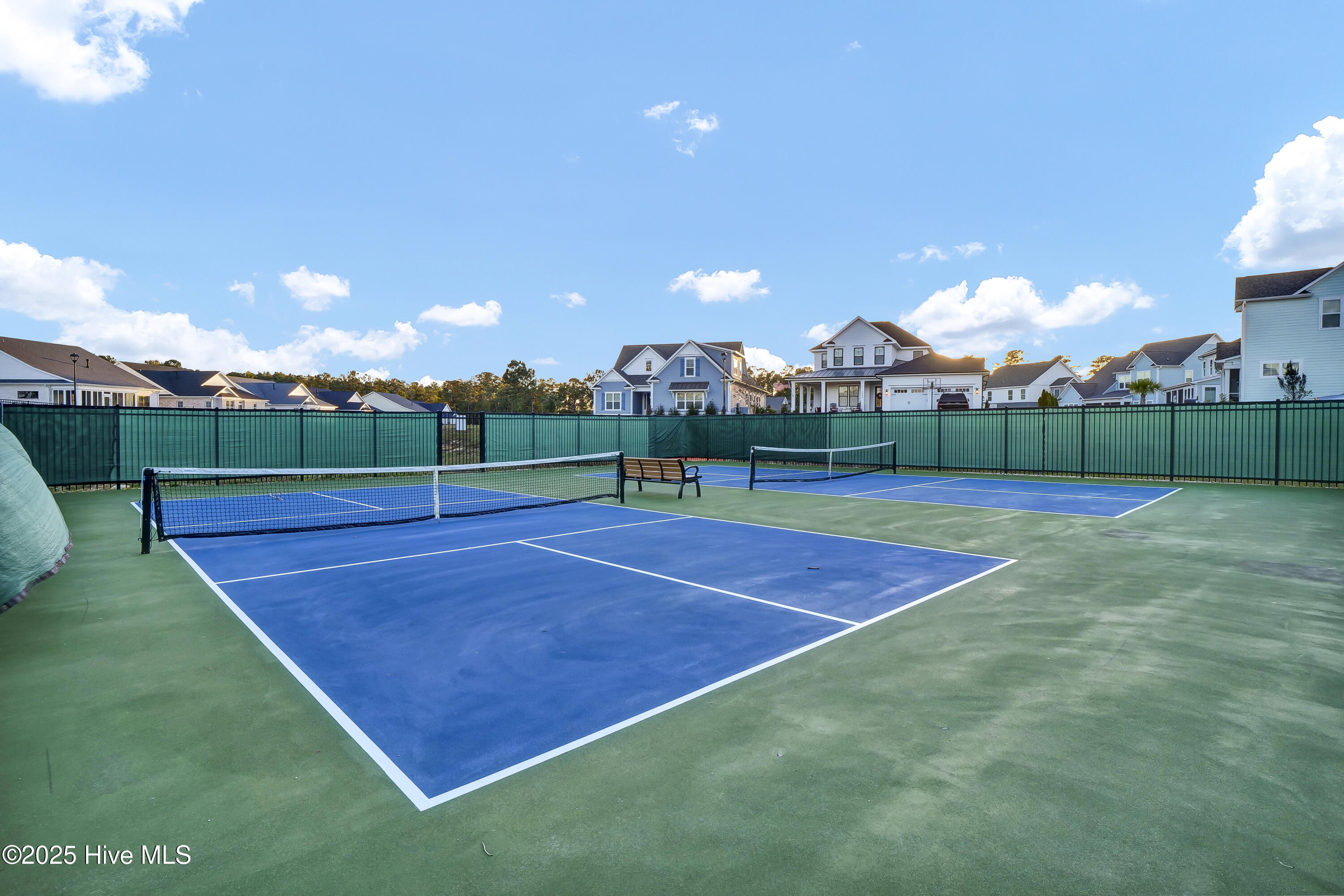 100523935 | Photo 80