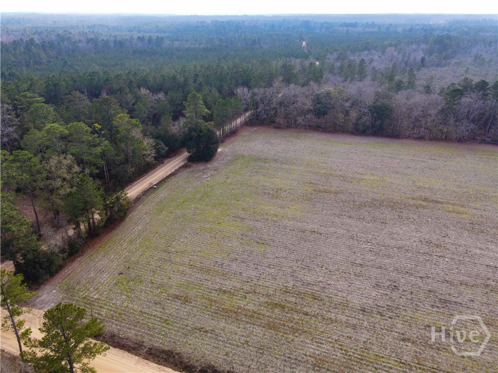 Homes for sale in Pembroke, GA | 0 Floyd Road #Lot 7, Pembroke, GA 31321 | MLS# SA346332