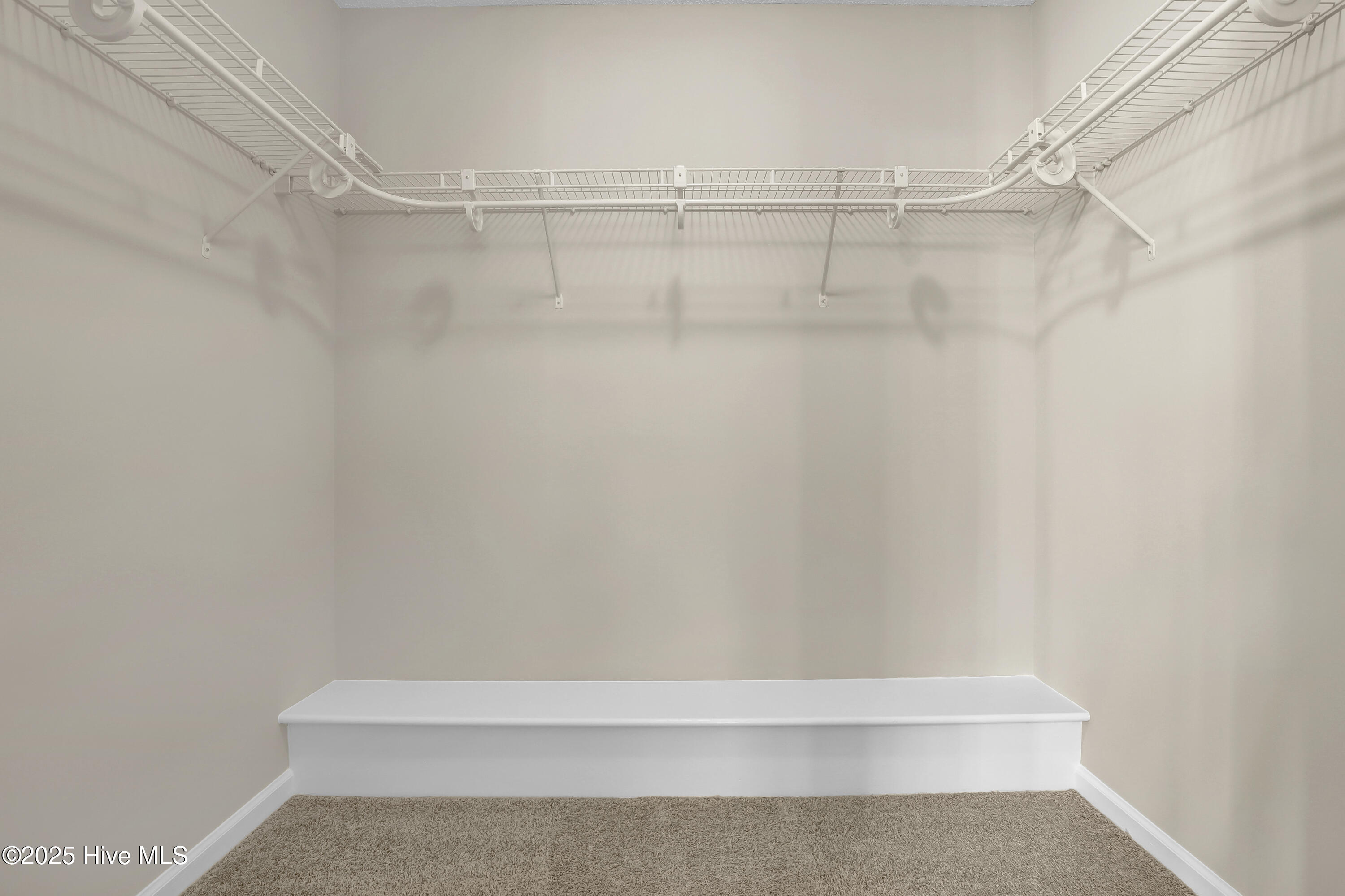 100545251 | Photo 15