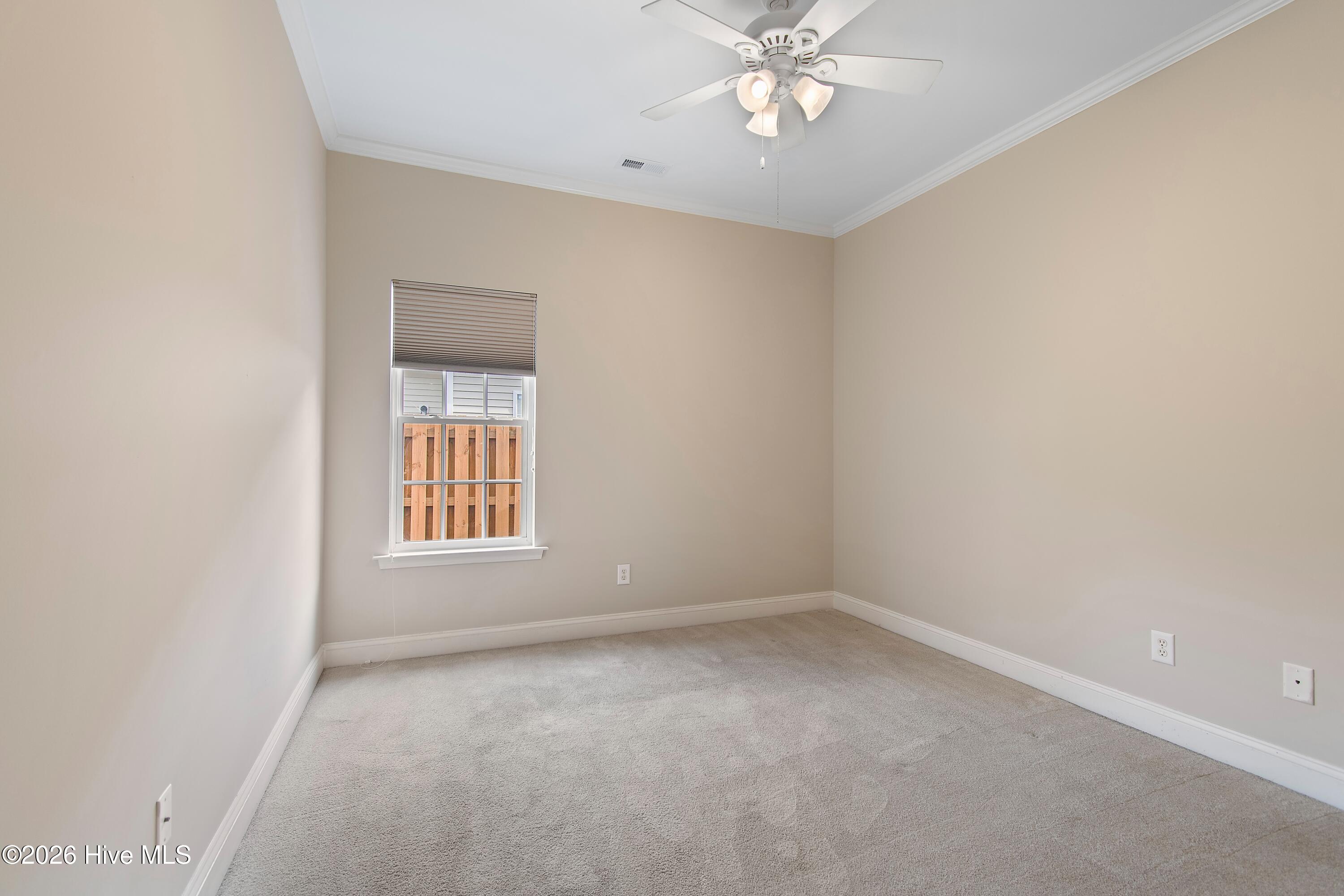 100562545 | Photo 31