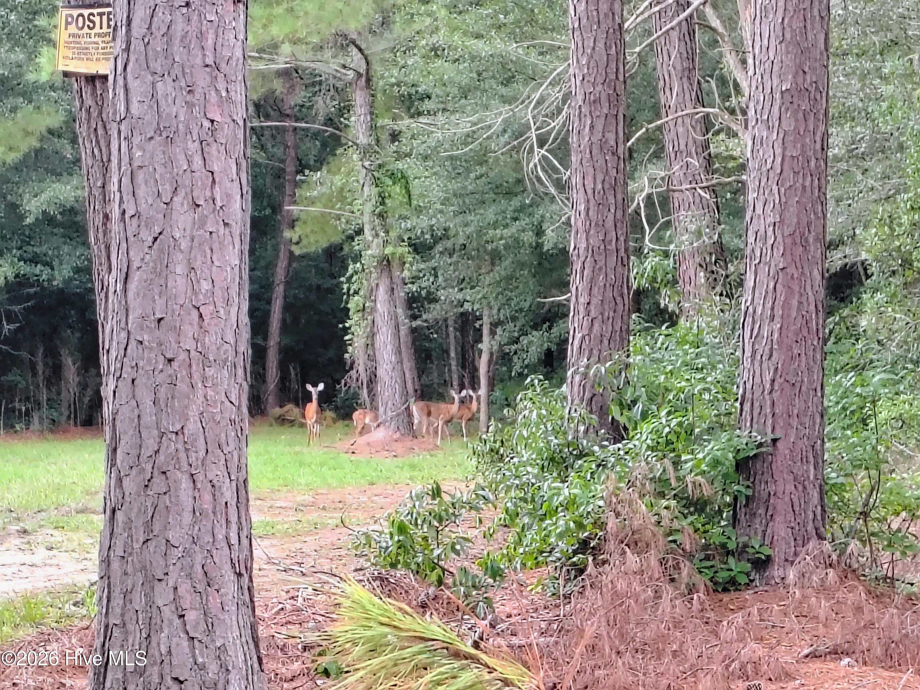 12th image of Lot 45 Near 519 Deer Ln, Tabor City, NC 28463 | MLS# 100600263