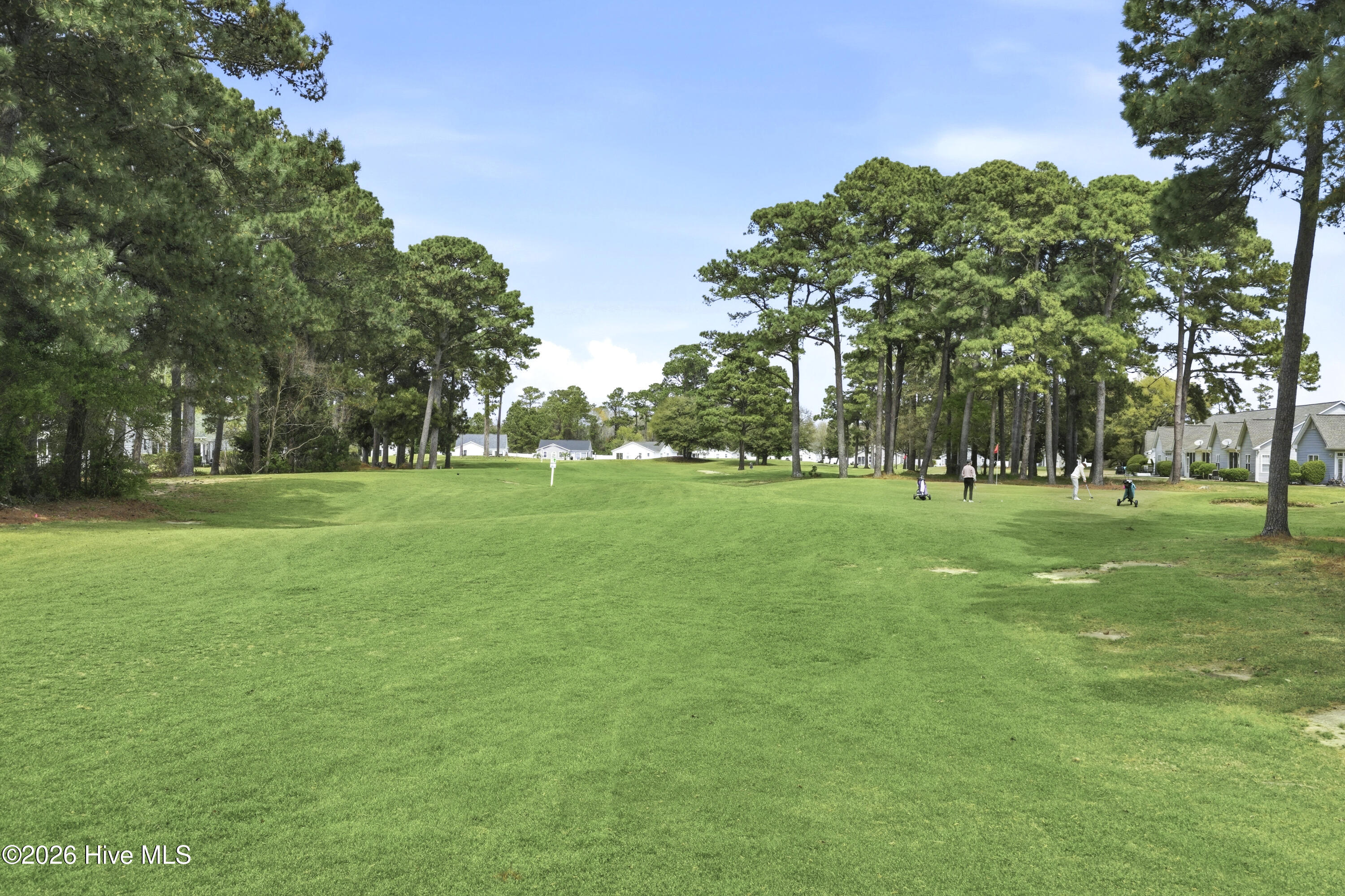 100562955 | Photo 63