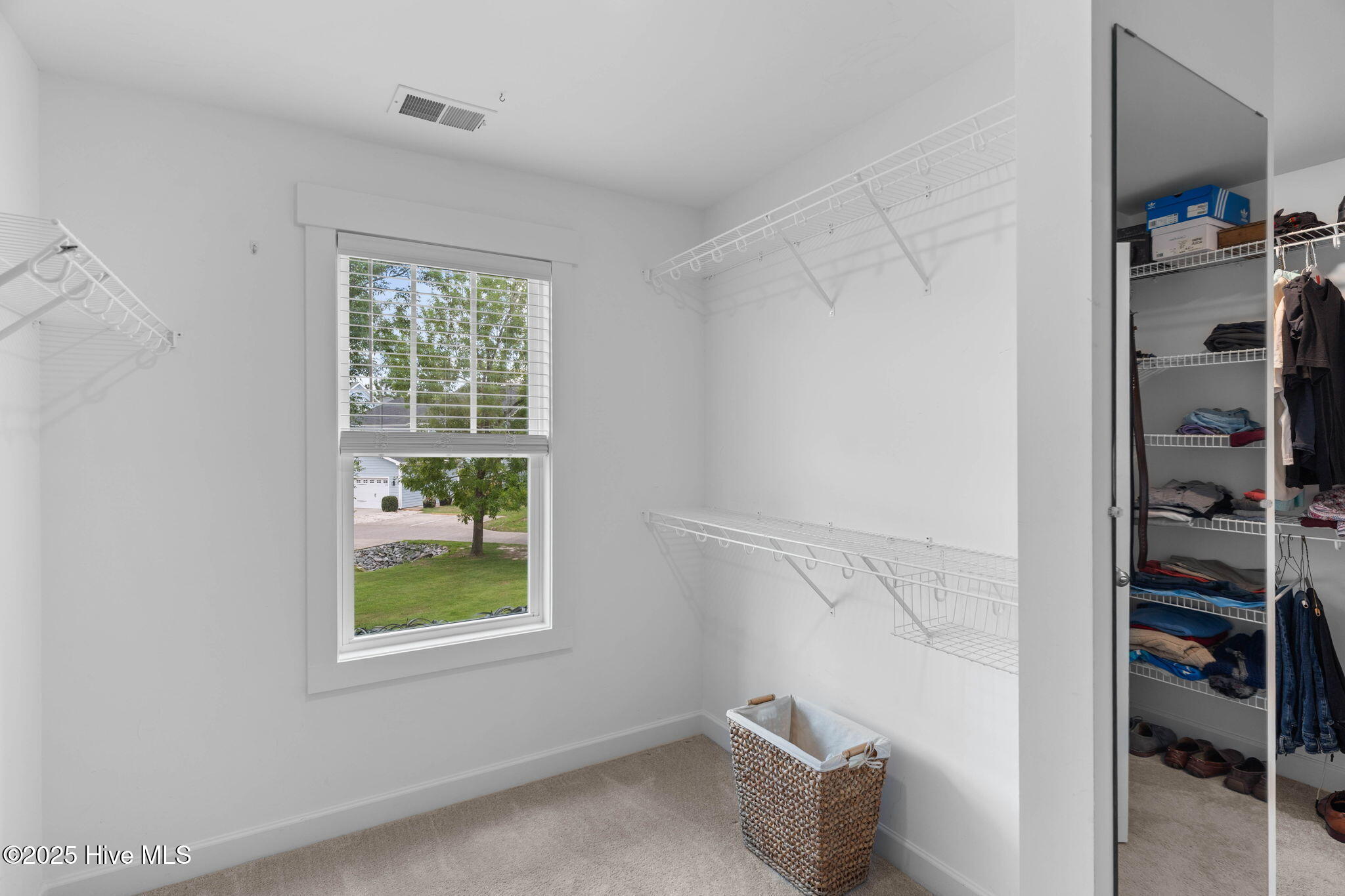 100526886 | Photo 32