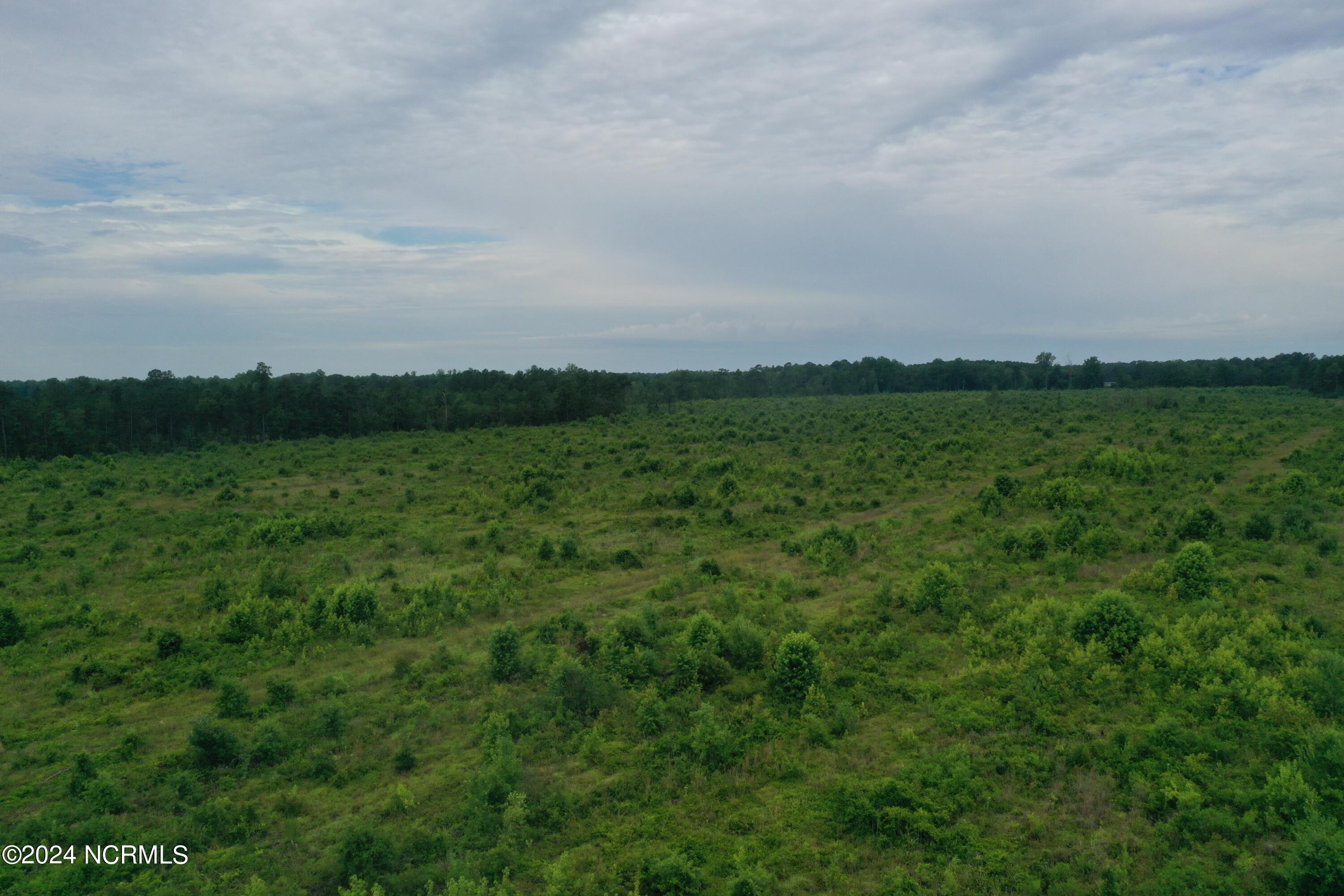 3506 Whitehall Road, Whiteville, NC, 28472