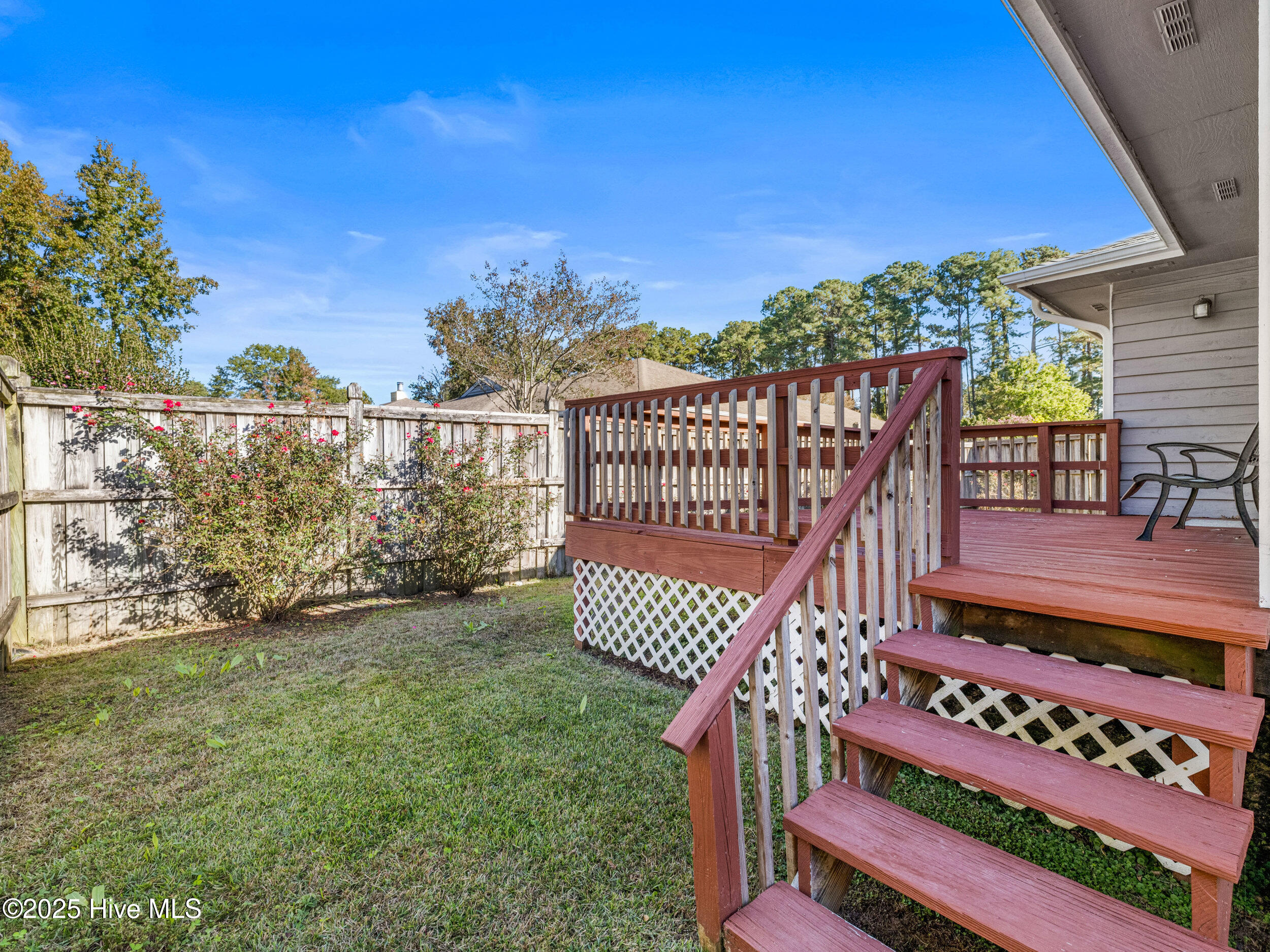 100538354 | Photo 49