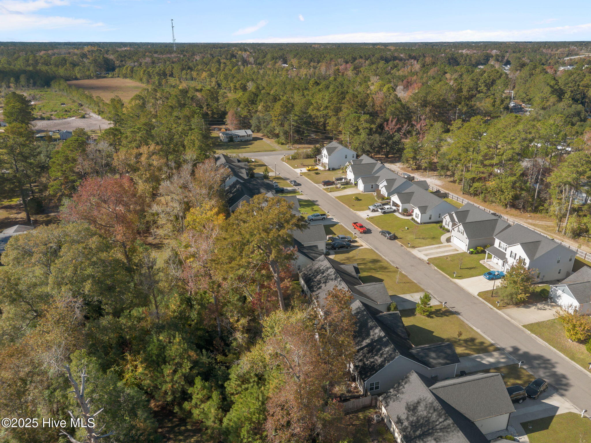 100541269 | Photo 11