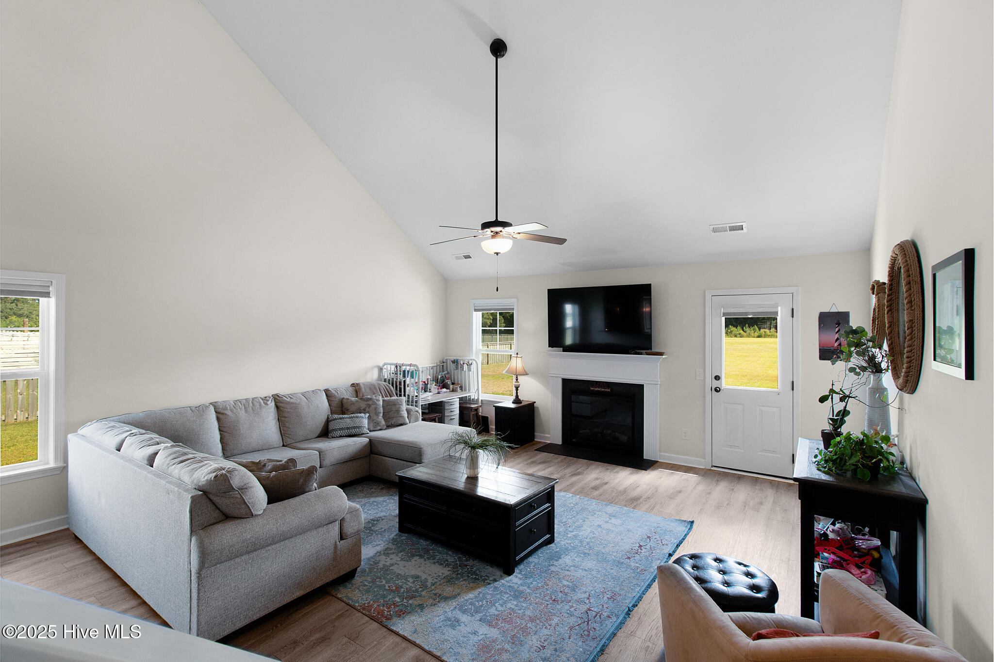 Living room with electric fireplace