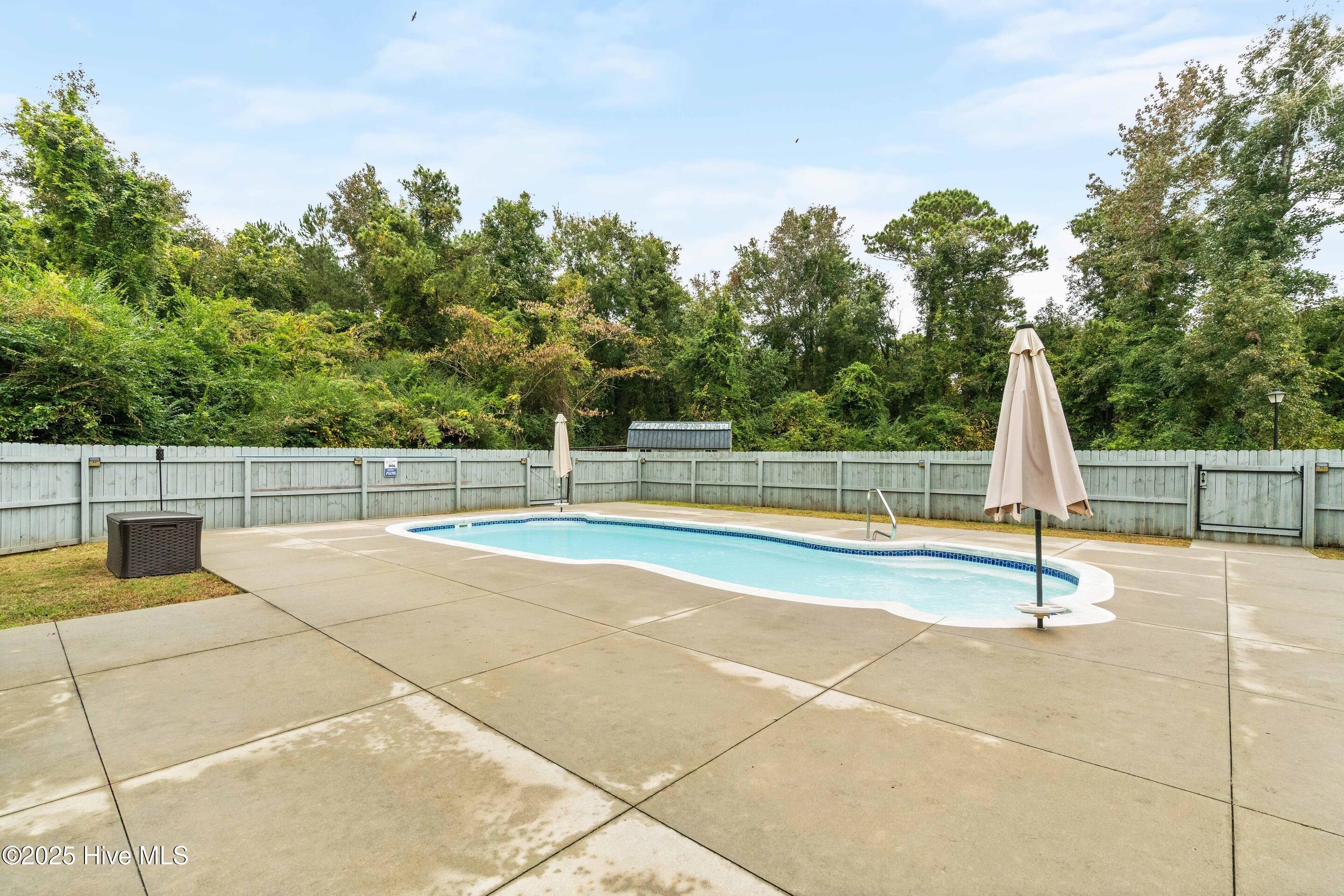 100537388 | Photo 16