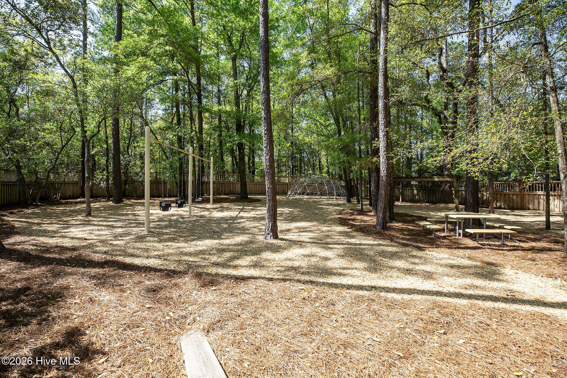 100563719 | Photo 63