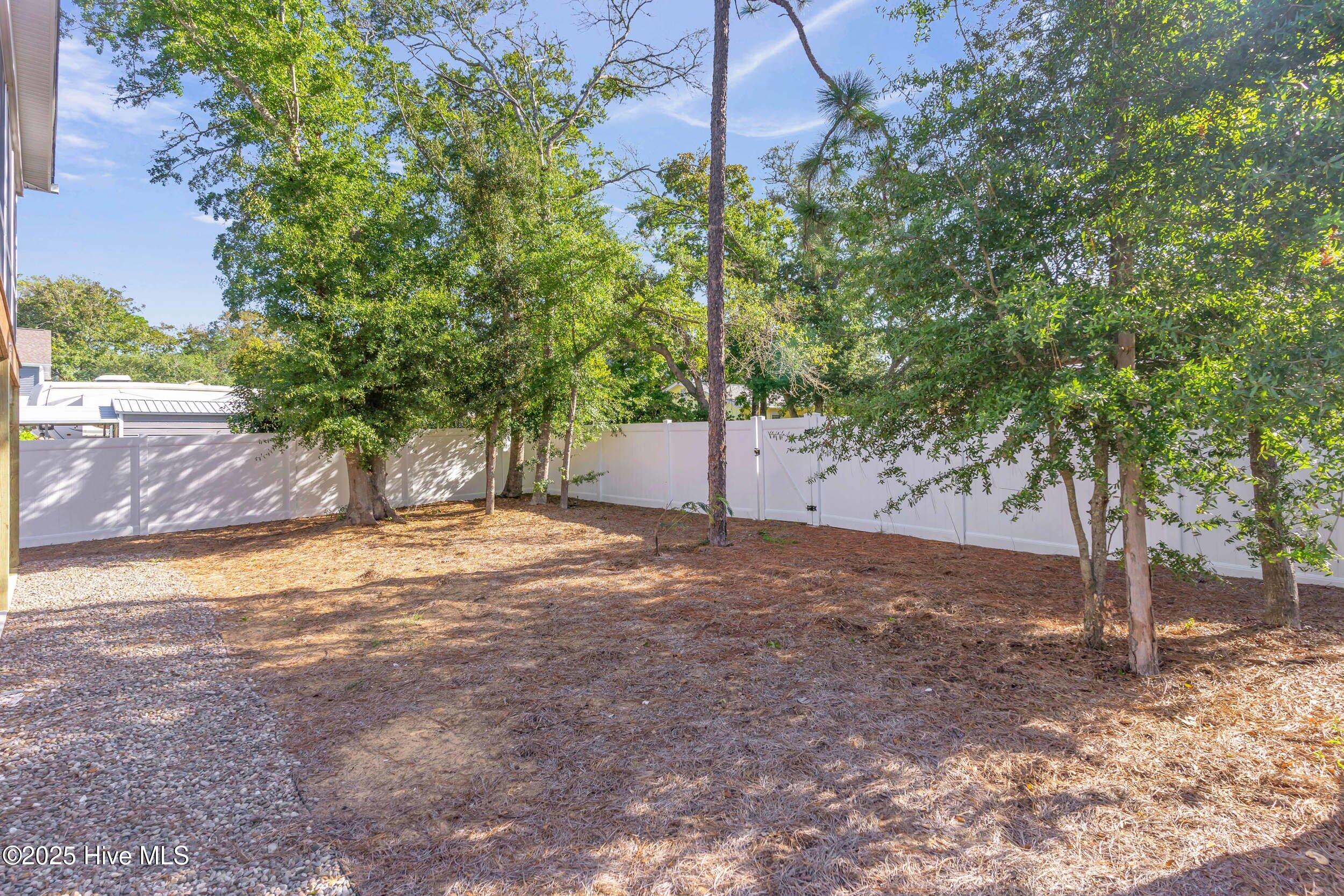 100534529 | Photo 44