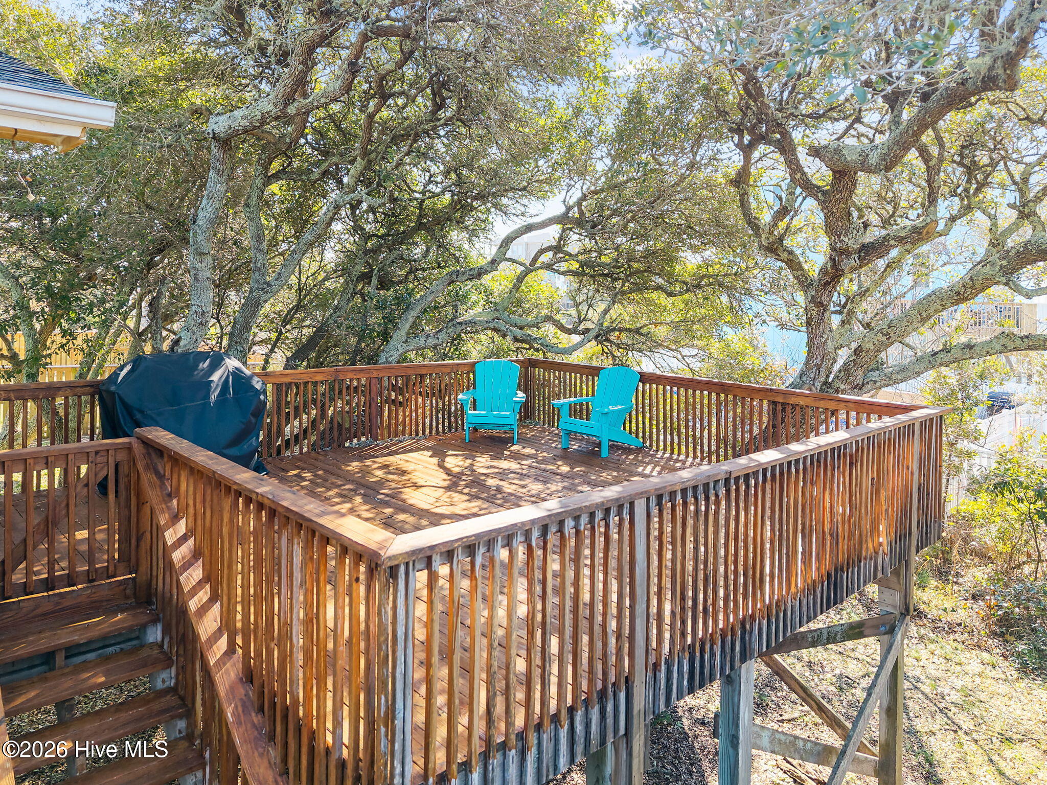 100553918 | Photo 39