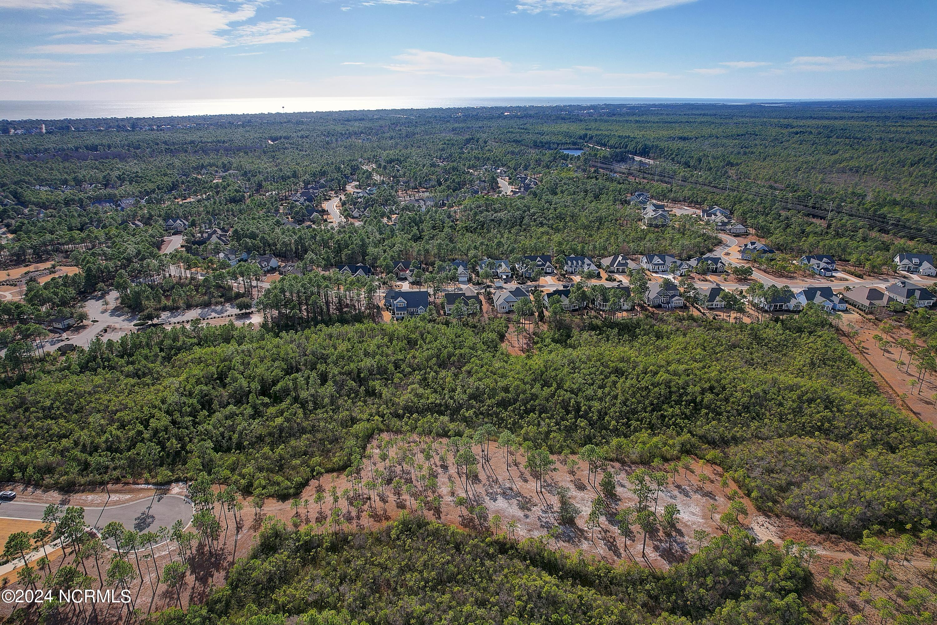 100559108 | Photo 11