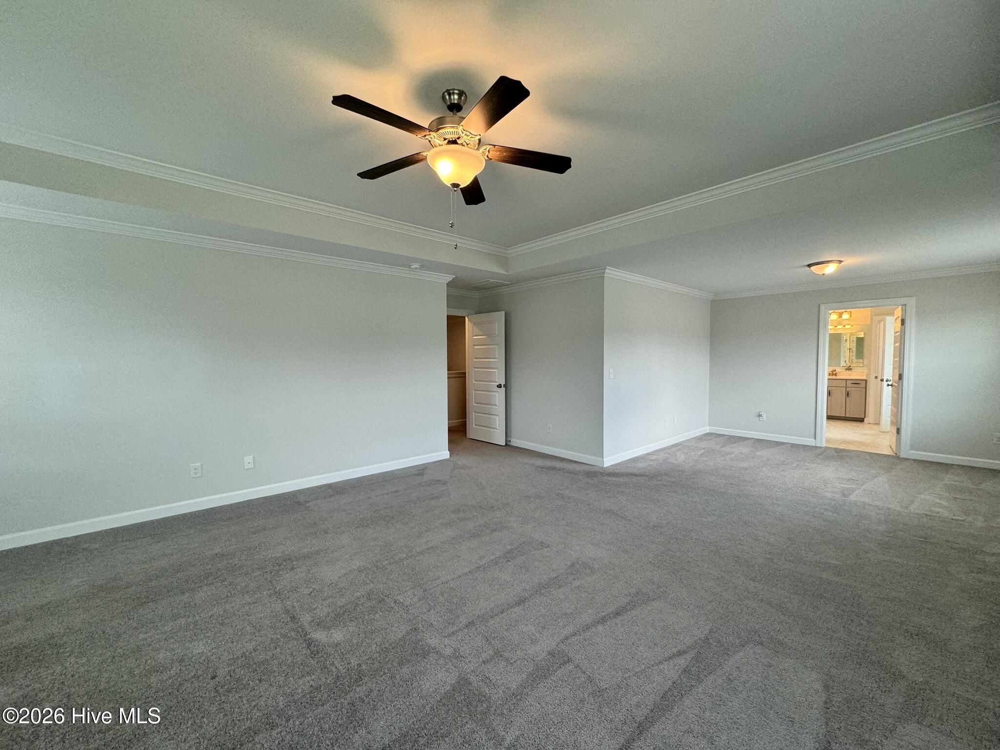 100558749 | Photo 36