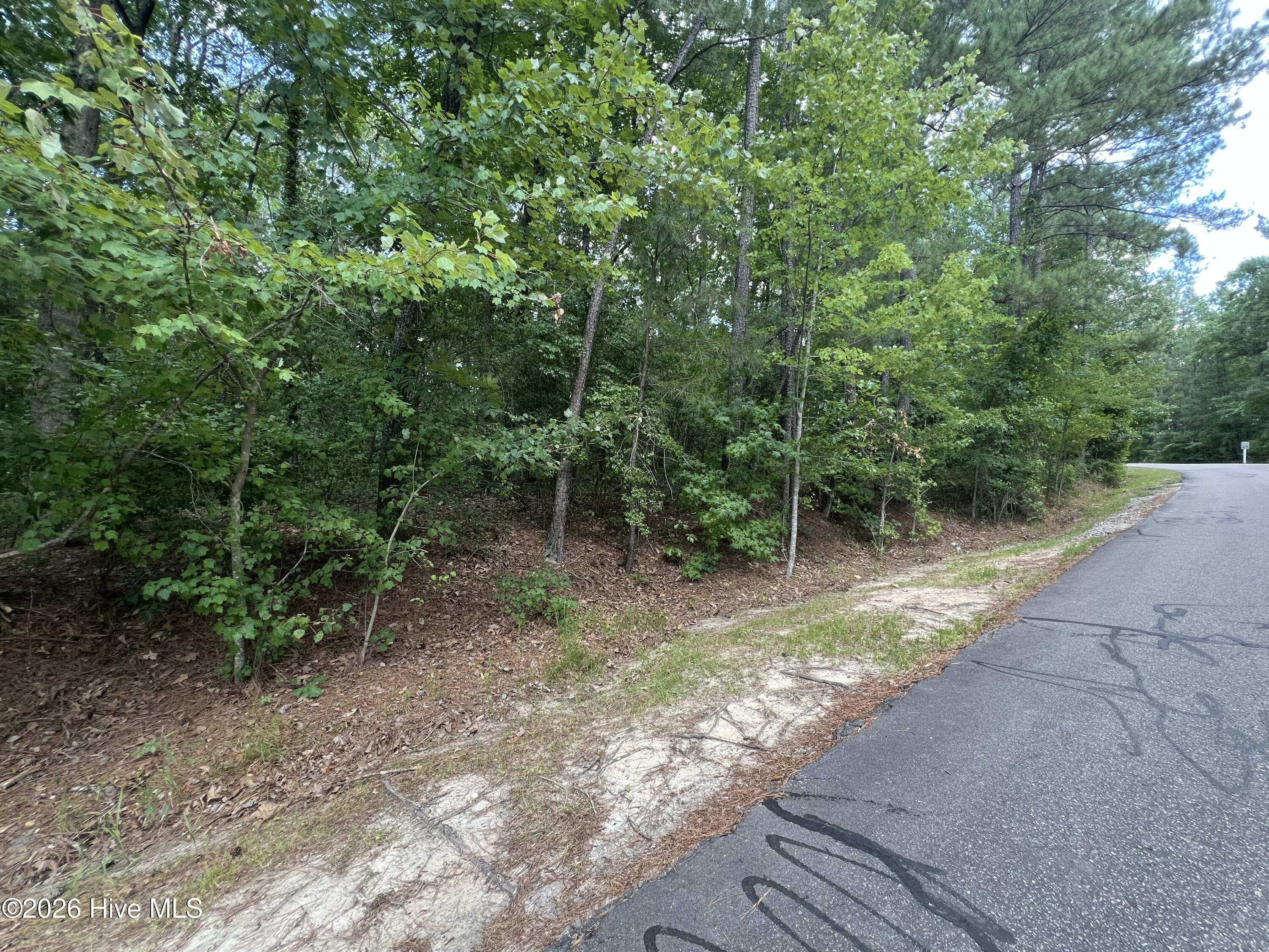 Exterior photo of 307 91 Thimbleberry Drive, Vass, NC 28394. MLS: 100581918