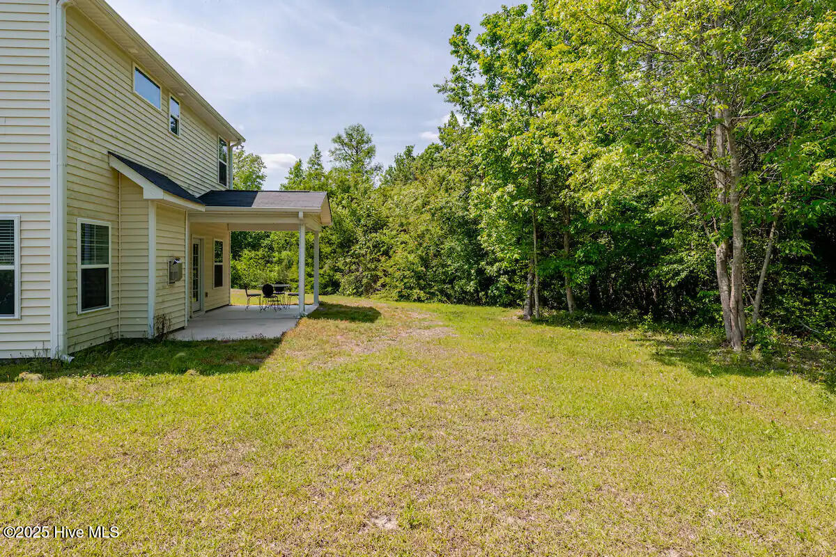 100532148 | Photo 19