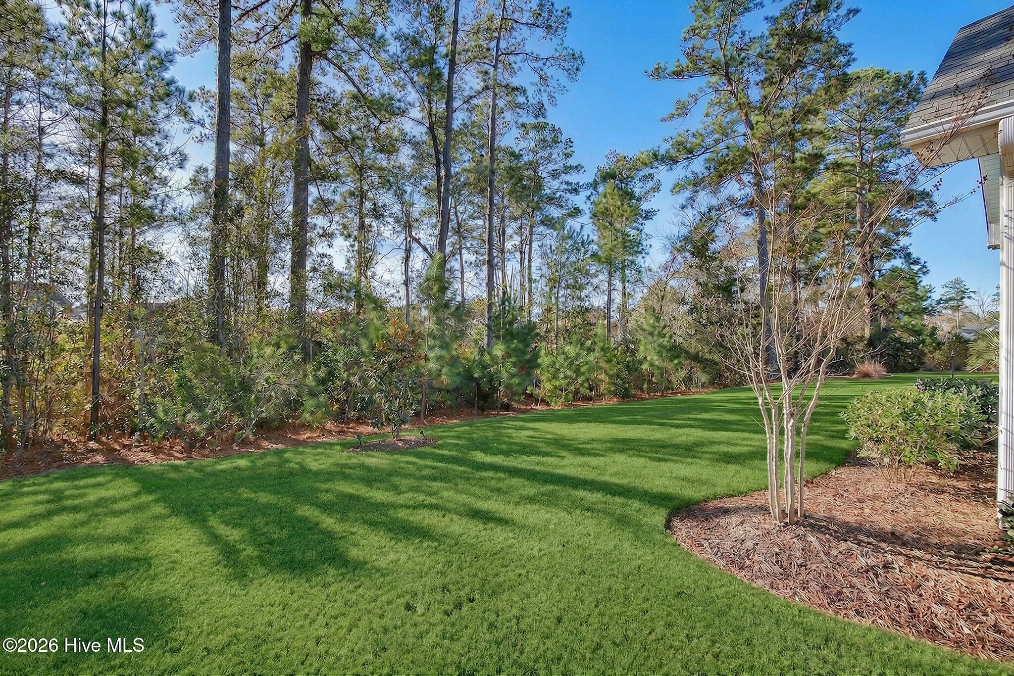 100554107 | Photo 52