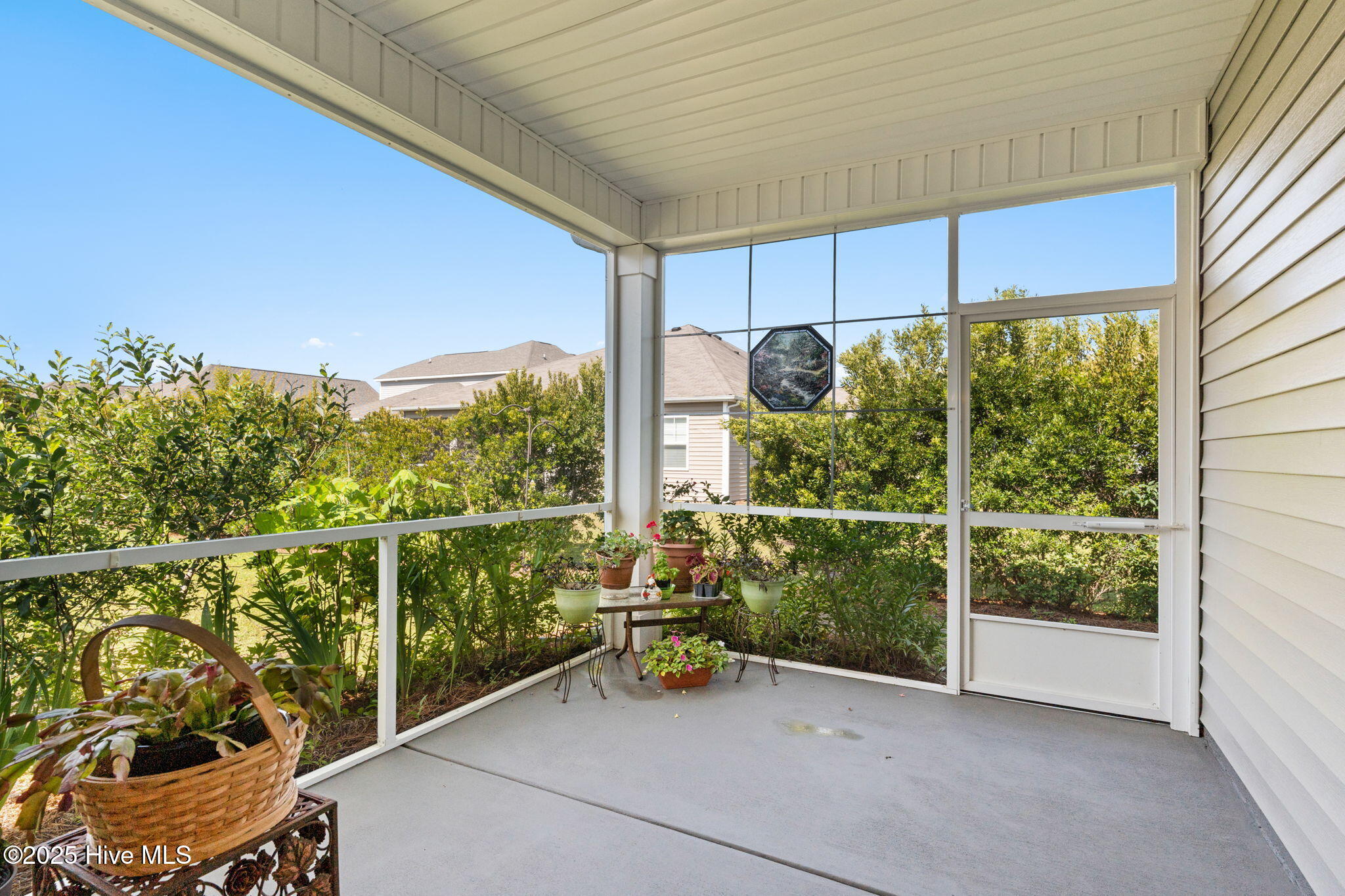 100516285 | Photo 19