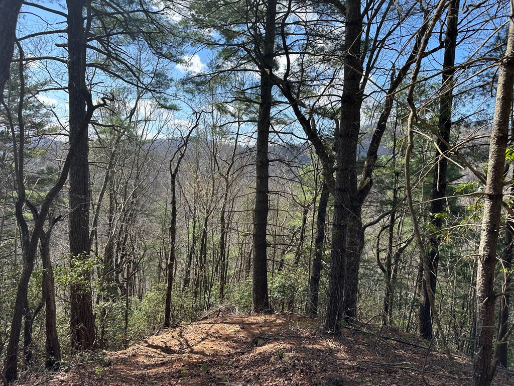 Exterior photo of Lot 5 Huffman Creek Road, Robbinsville, NC 28771. MLS: 98544494