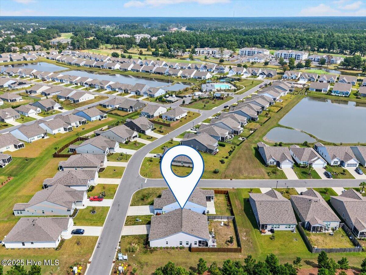 100532427 | Photo 39