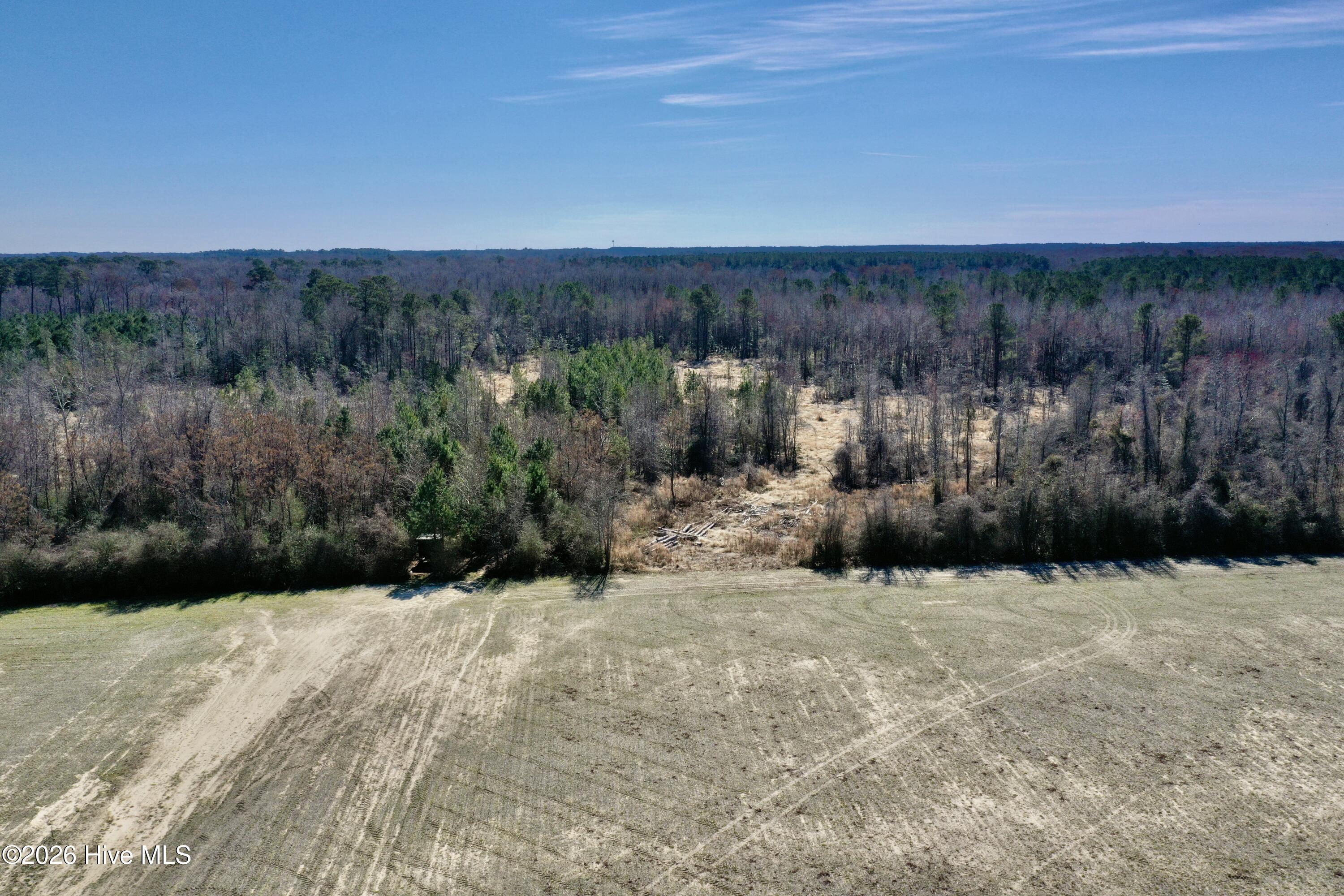 Homes for sale in Cerro Gordo, NC | 0 Near 2034 Haynes Len Hwy, Cerro Gordo, NC 28430 | MLS# 100556975