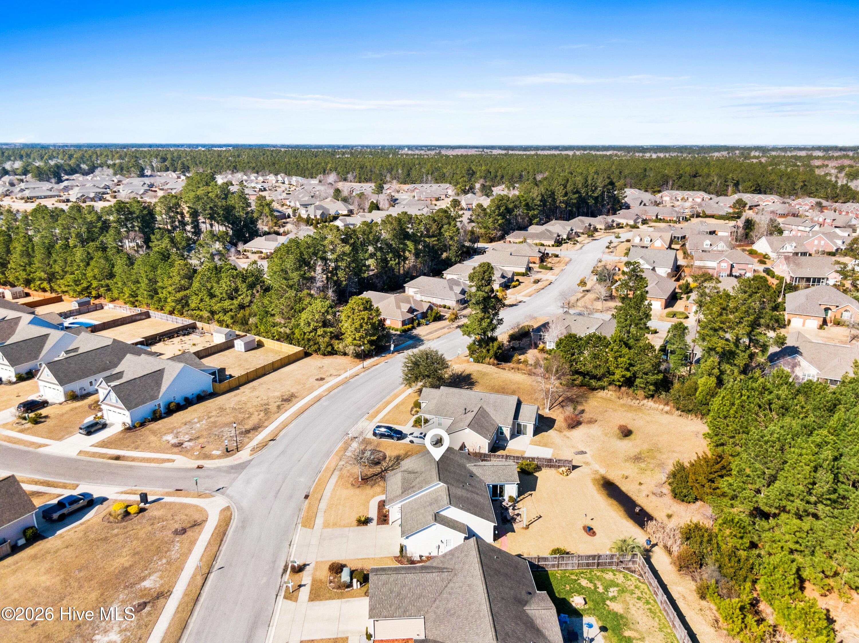 100554021 | Photo 40