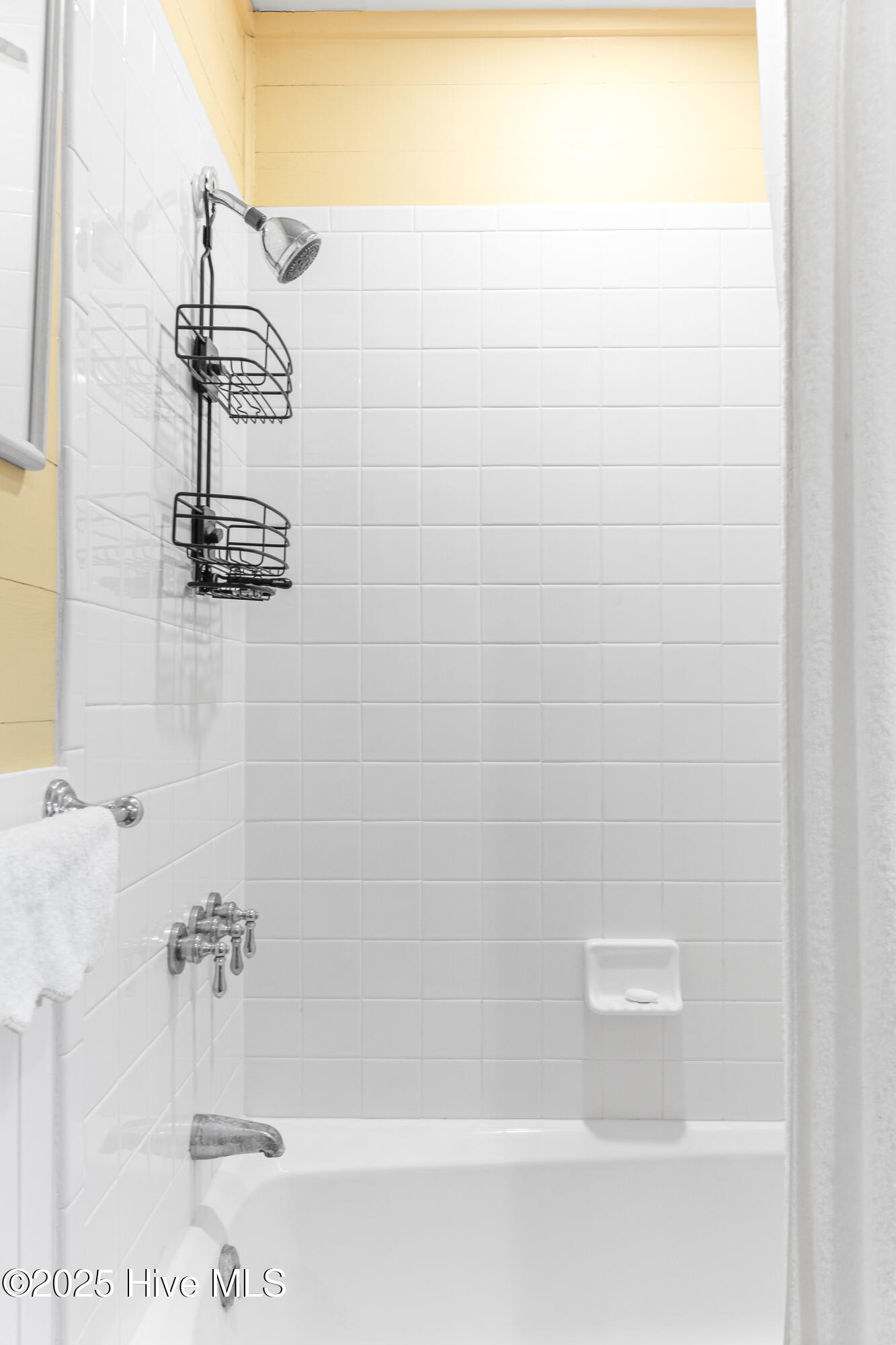 100531454 | Photo 61