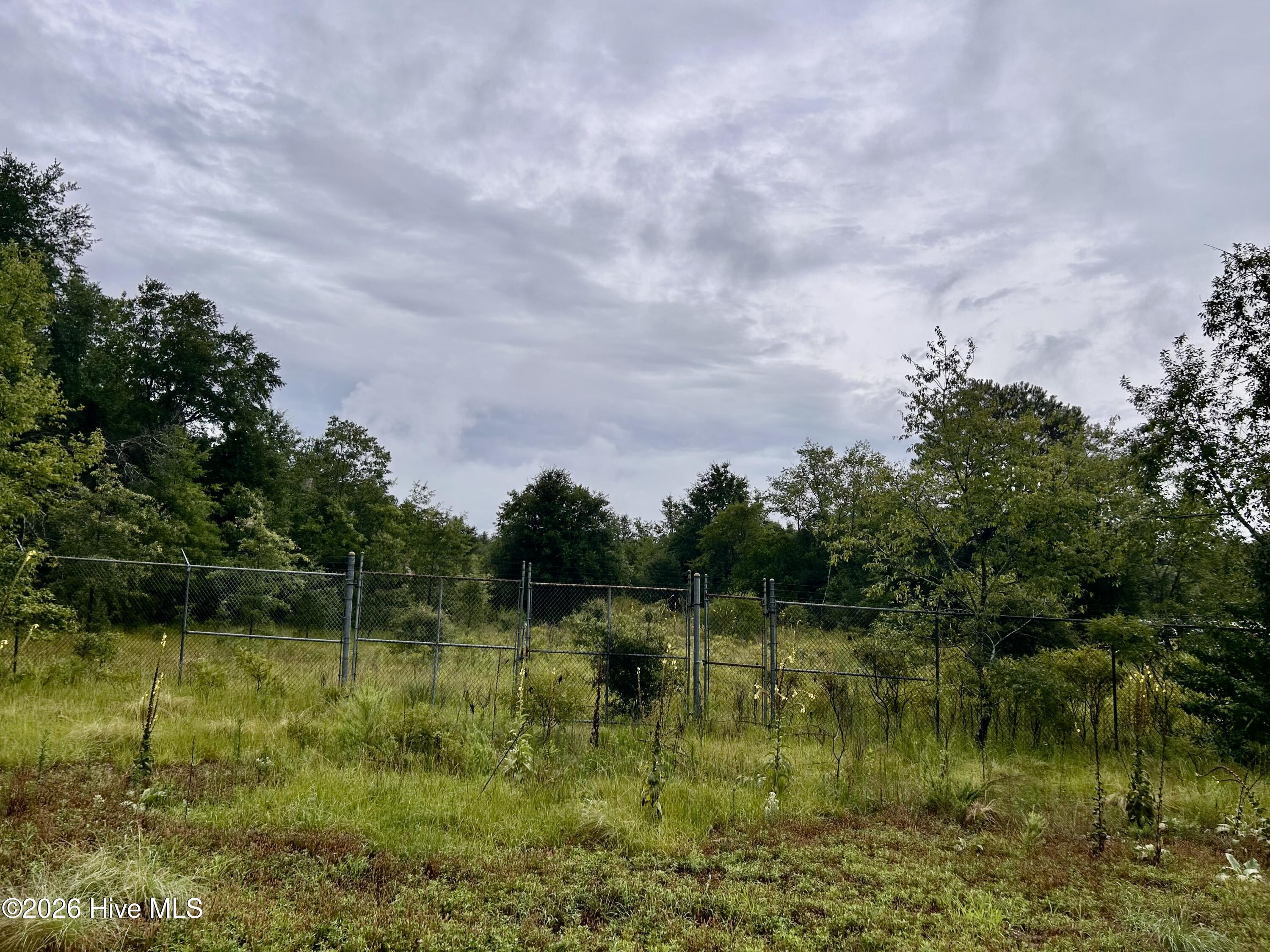 Exterior photo of 0 Carolina 381, Hamlet, NC 28345. MLS: 100593853