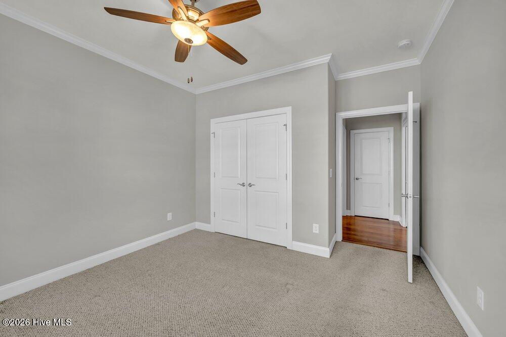 100553772 | Photo 14