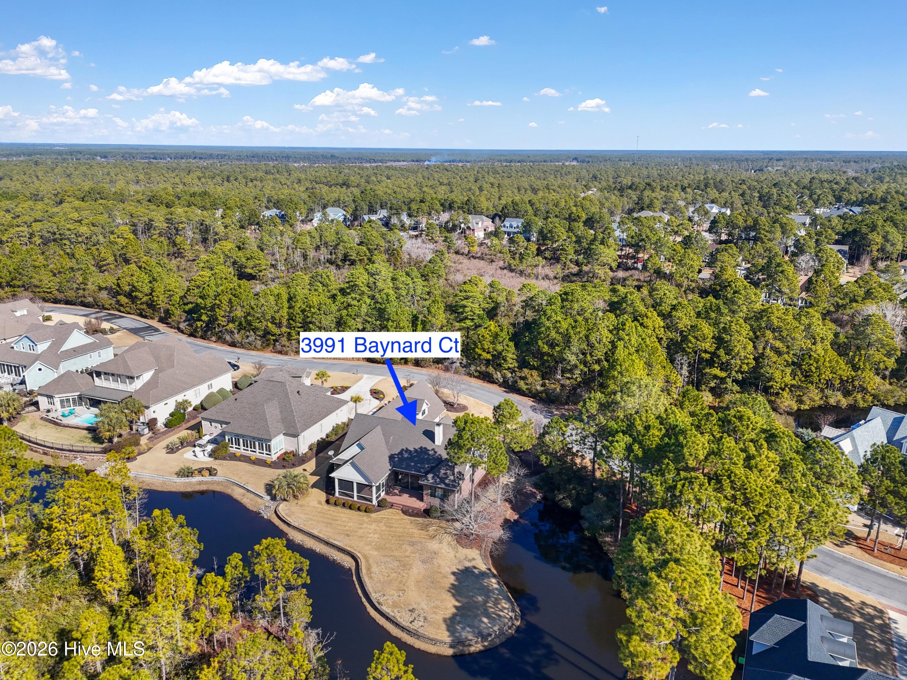 100553270 | Photo 62