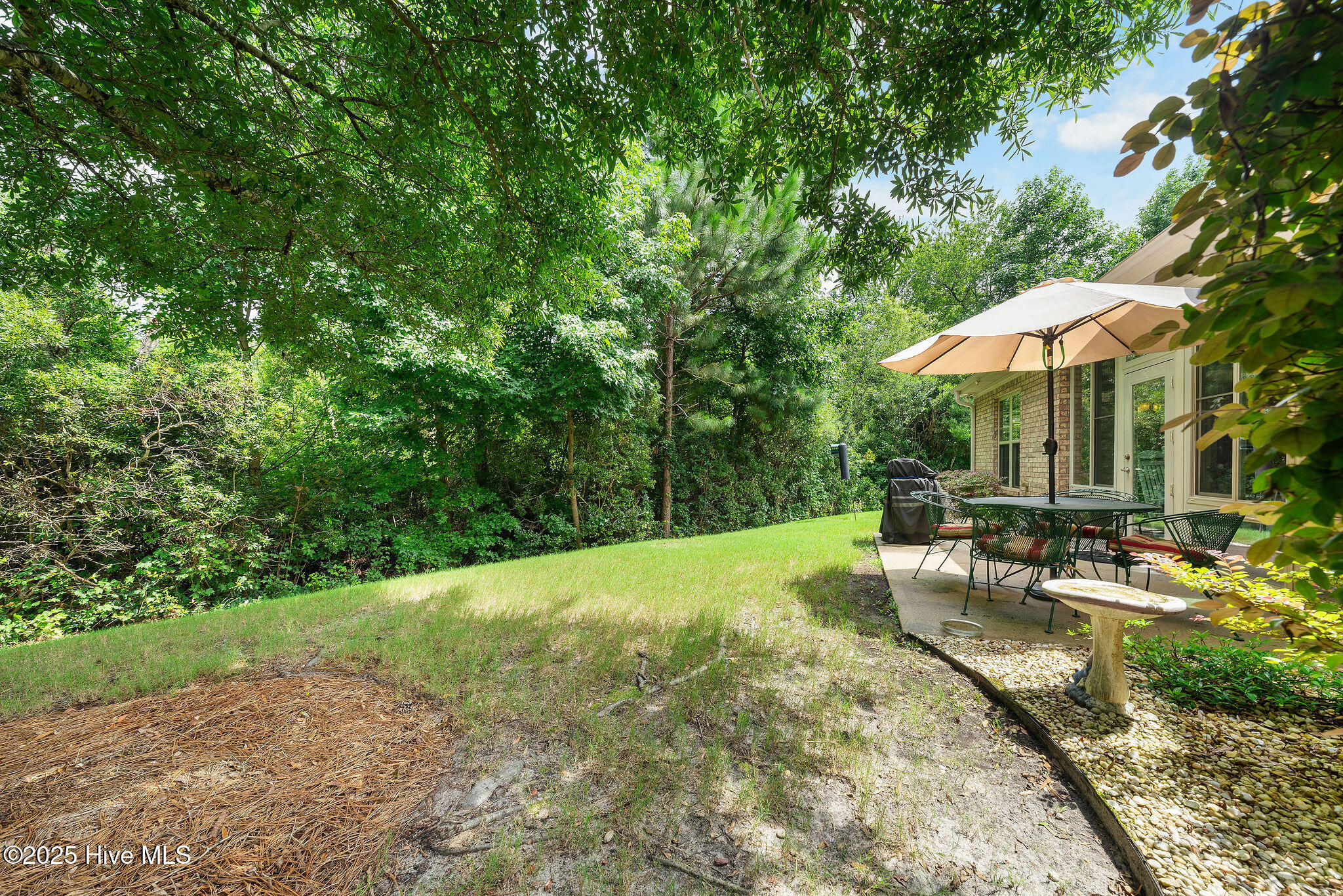 100520063 | Photo 10