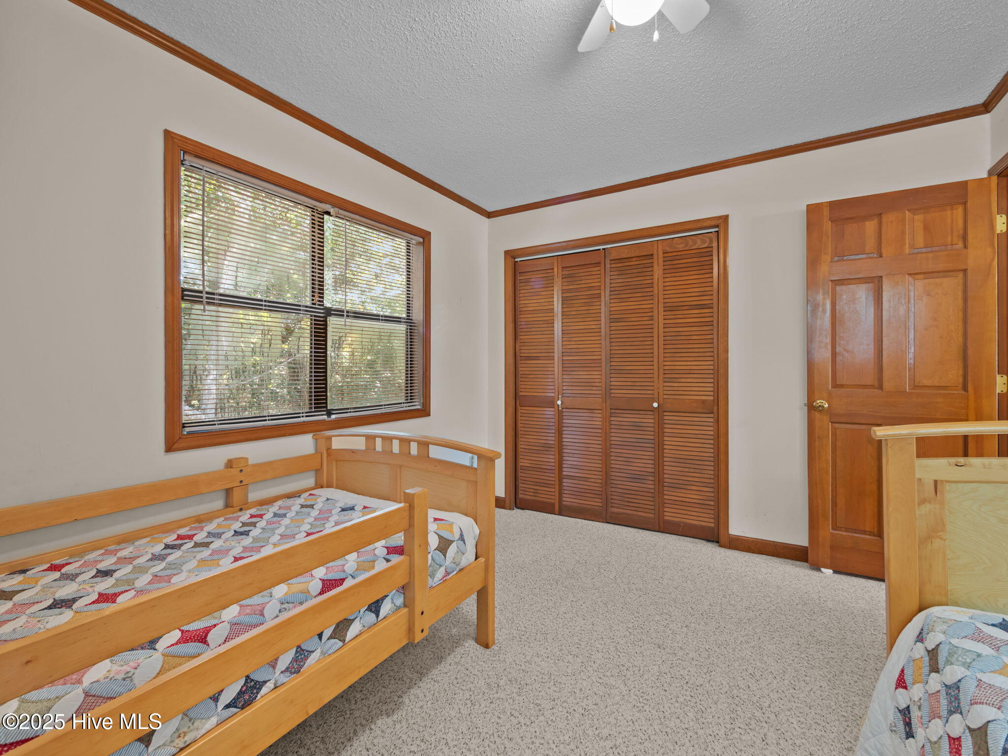 100533073 | Photo 27