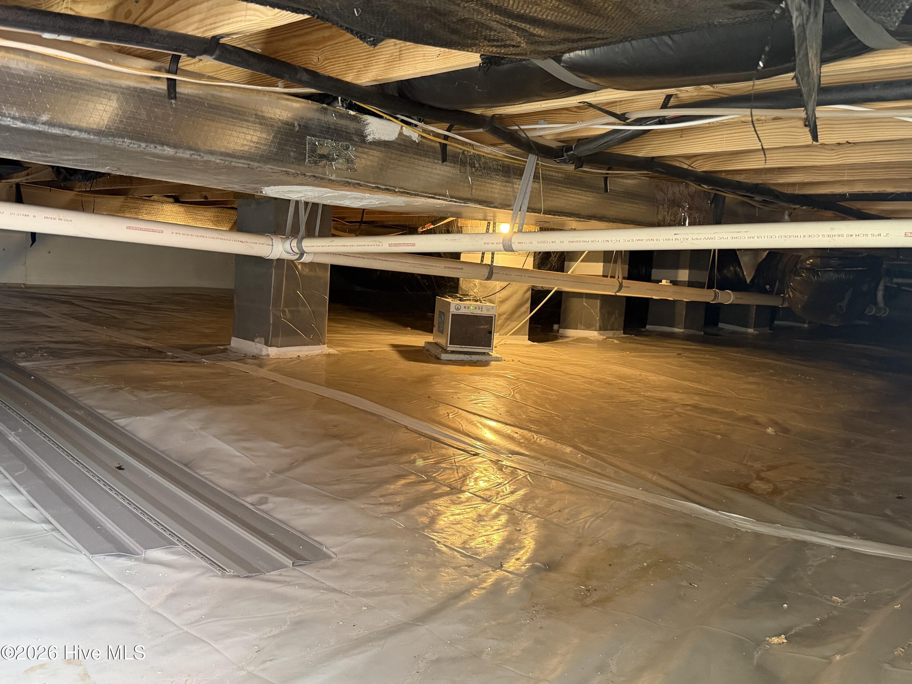 100556828 | Photo 34