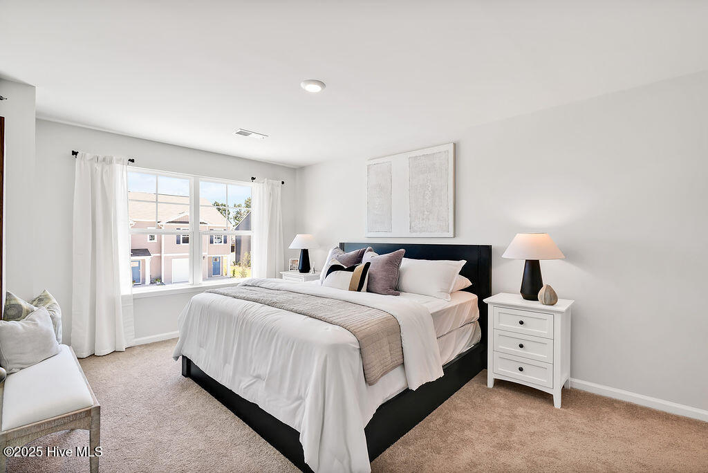 100545951 | Photo 19