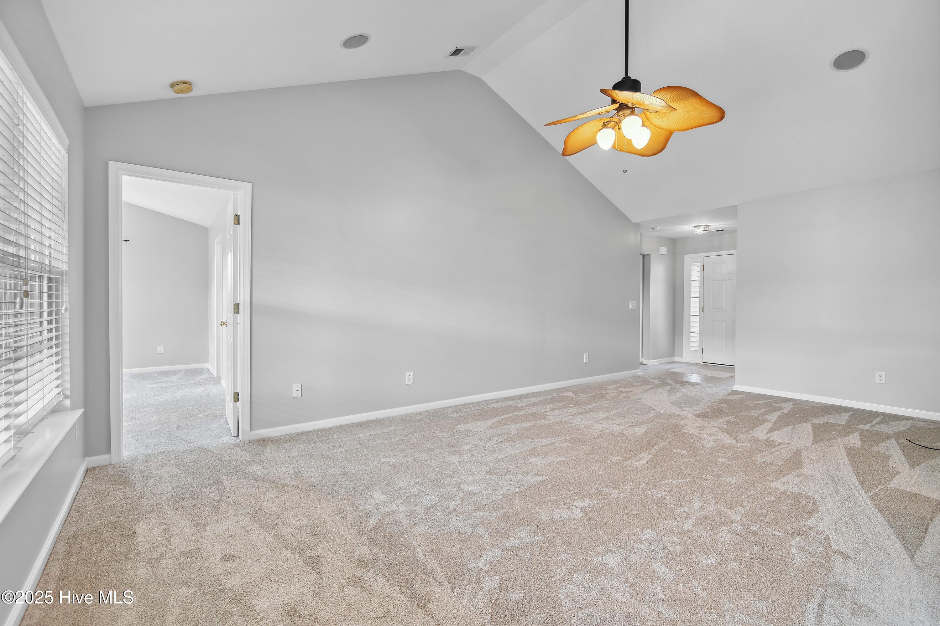 100547243 | Photo 12